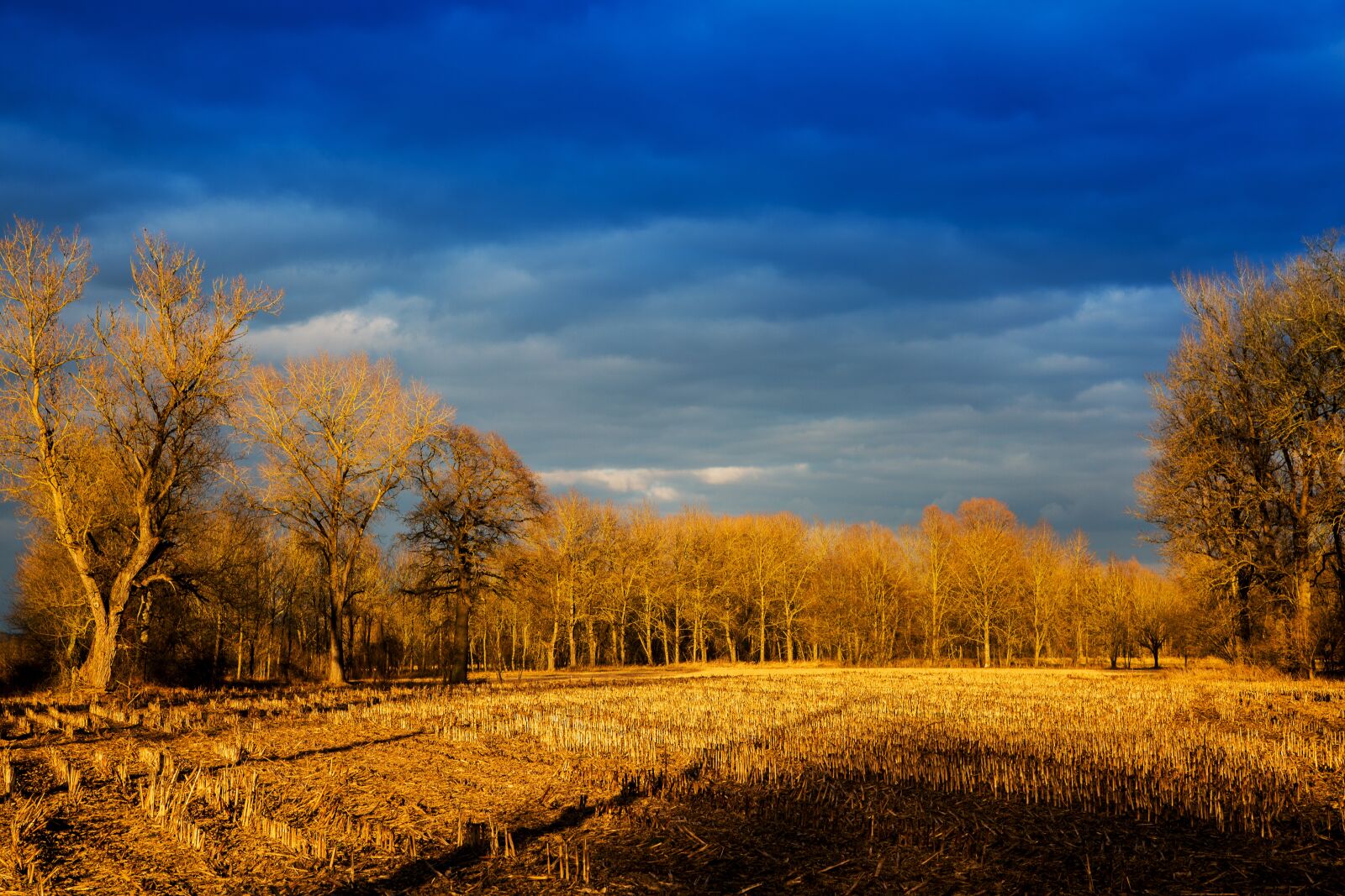 Canon EF 24-105mm F4L IS USM sample photo. Evening, sunset, sun photography
