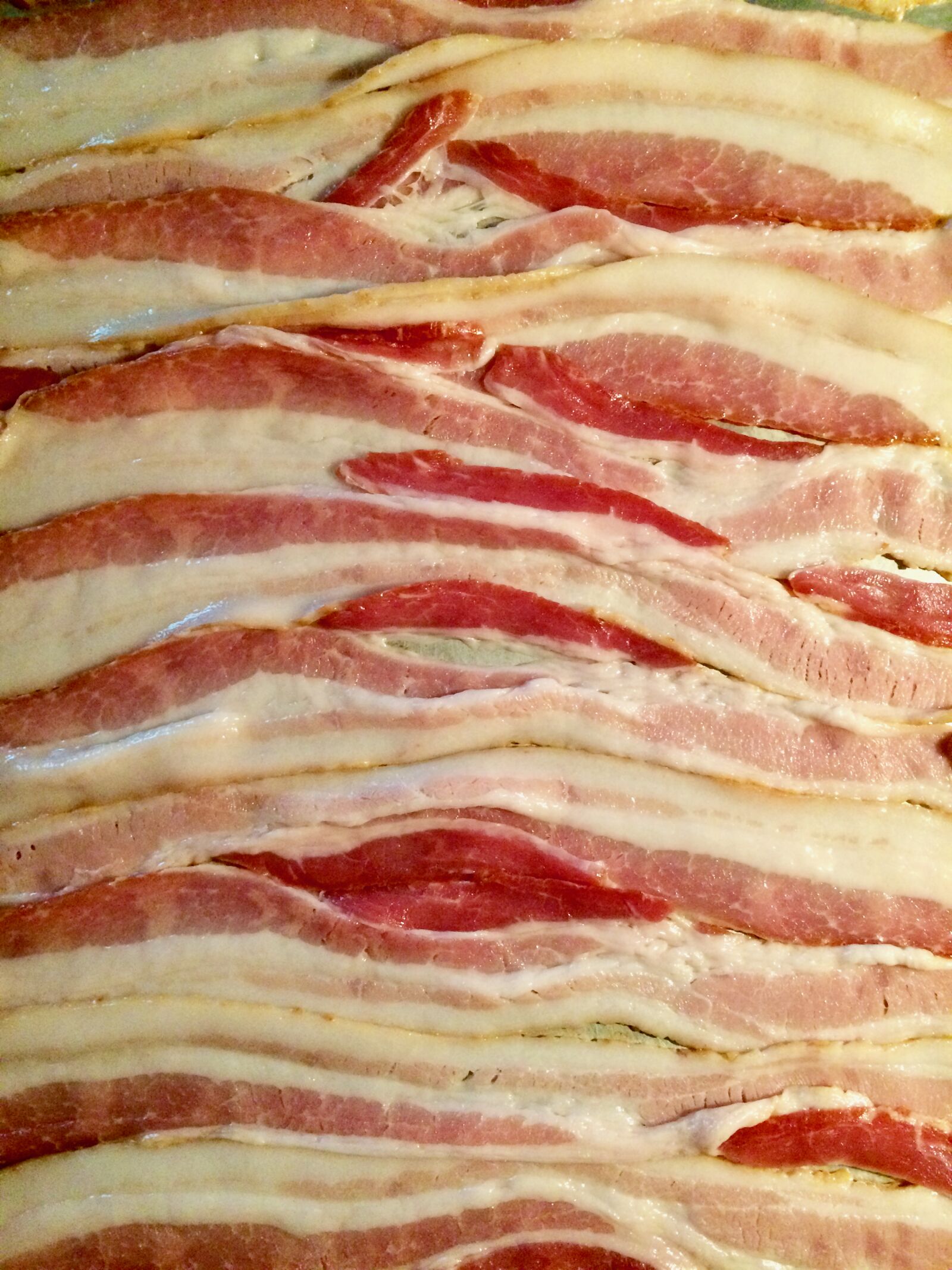 iPhone 5s back camera 4.15mm f/2.2 sample photo. Bacon photography