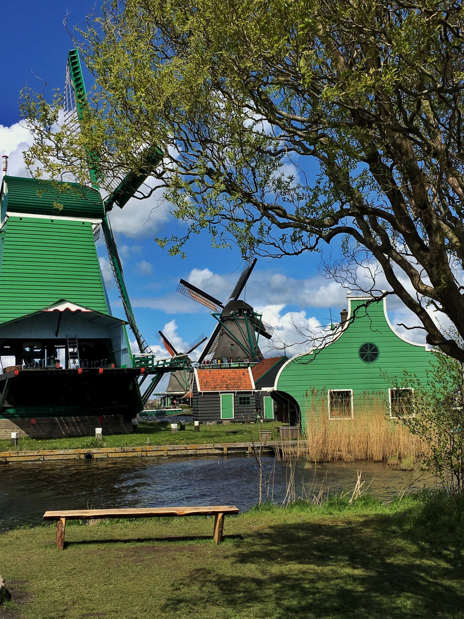 iPhone 6s Plus back camera 4.15mm f/2.2 sample photo. Museum, holland, netherlands photography