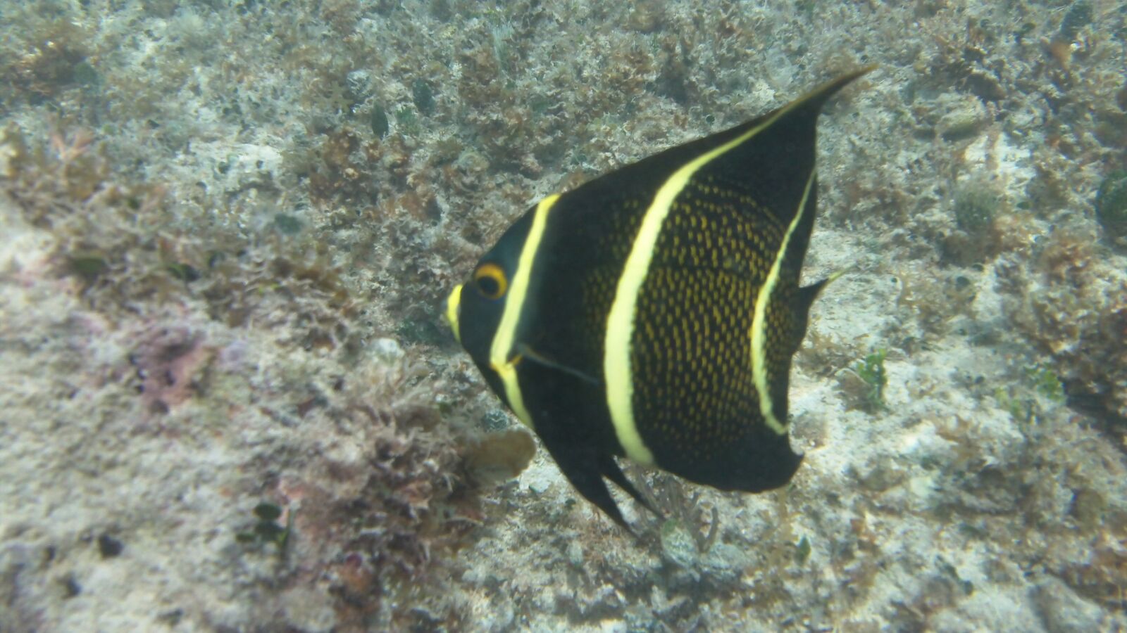 Kodak PLAYSPORT VIDEO CAMERA, ZX3 sample photo. Tropical, ocean, sand photography