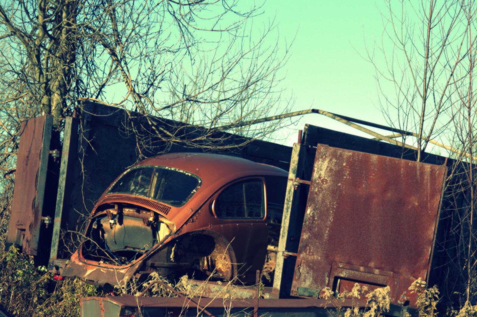 Canon EOS 600D (Rebel EOS T3i / EOS Kiss X5) + Canon EF 28-90mm f/4-5.6 sample photo. Salvage yard, car, wreck photography