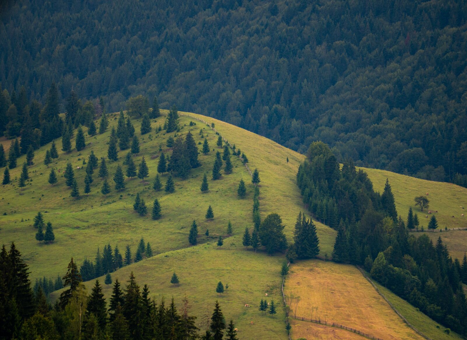 Panasonic Lumix DC-GH5 sample photo. Landscape, hilltop, countryside photography