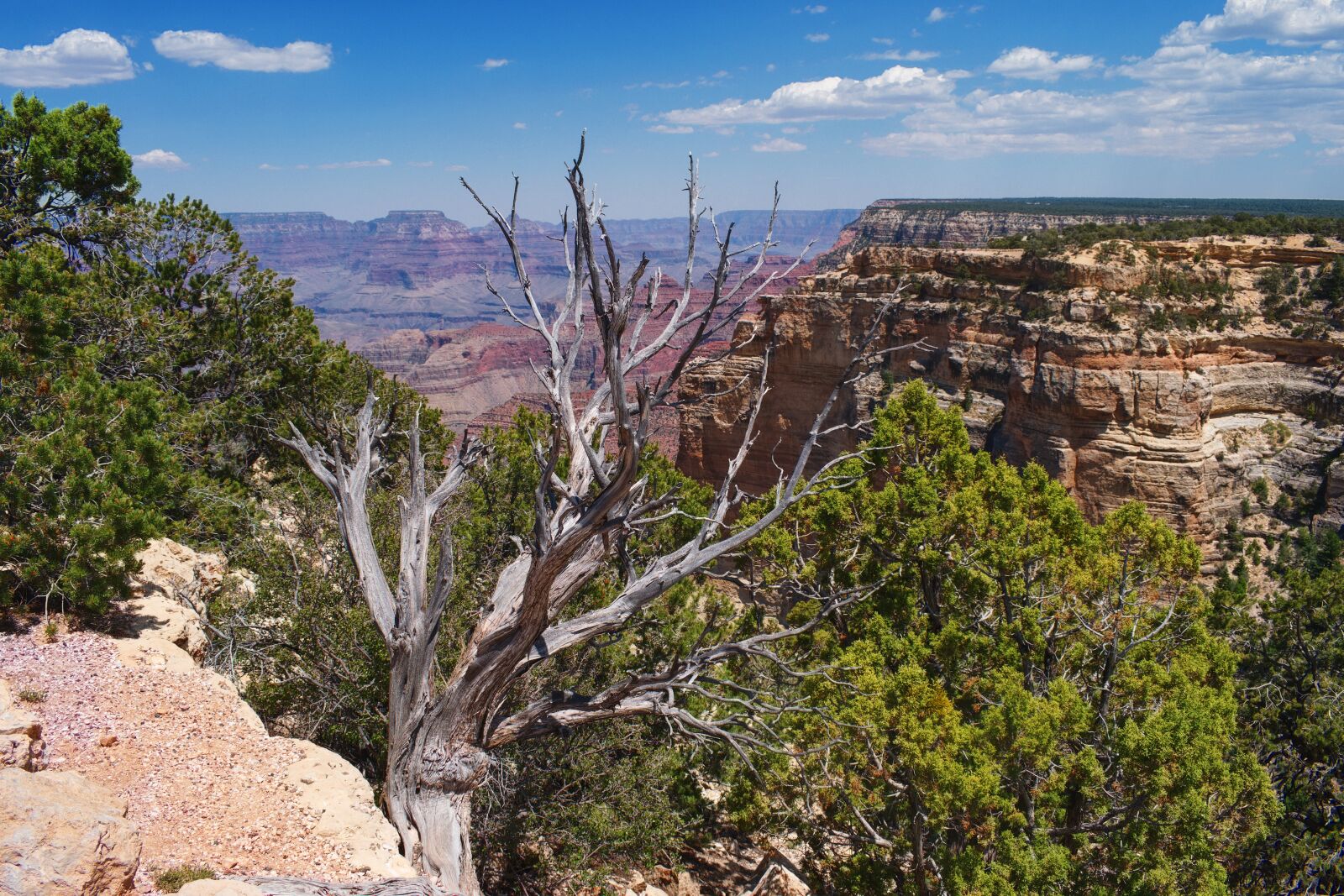 Nikon D5300 sample photo. Grand canyon, landscape, mountains photography