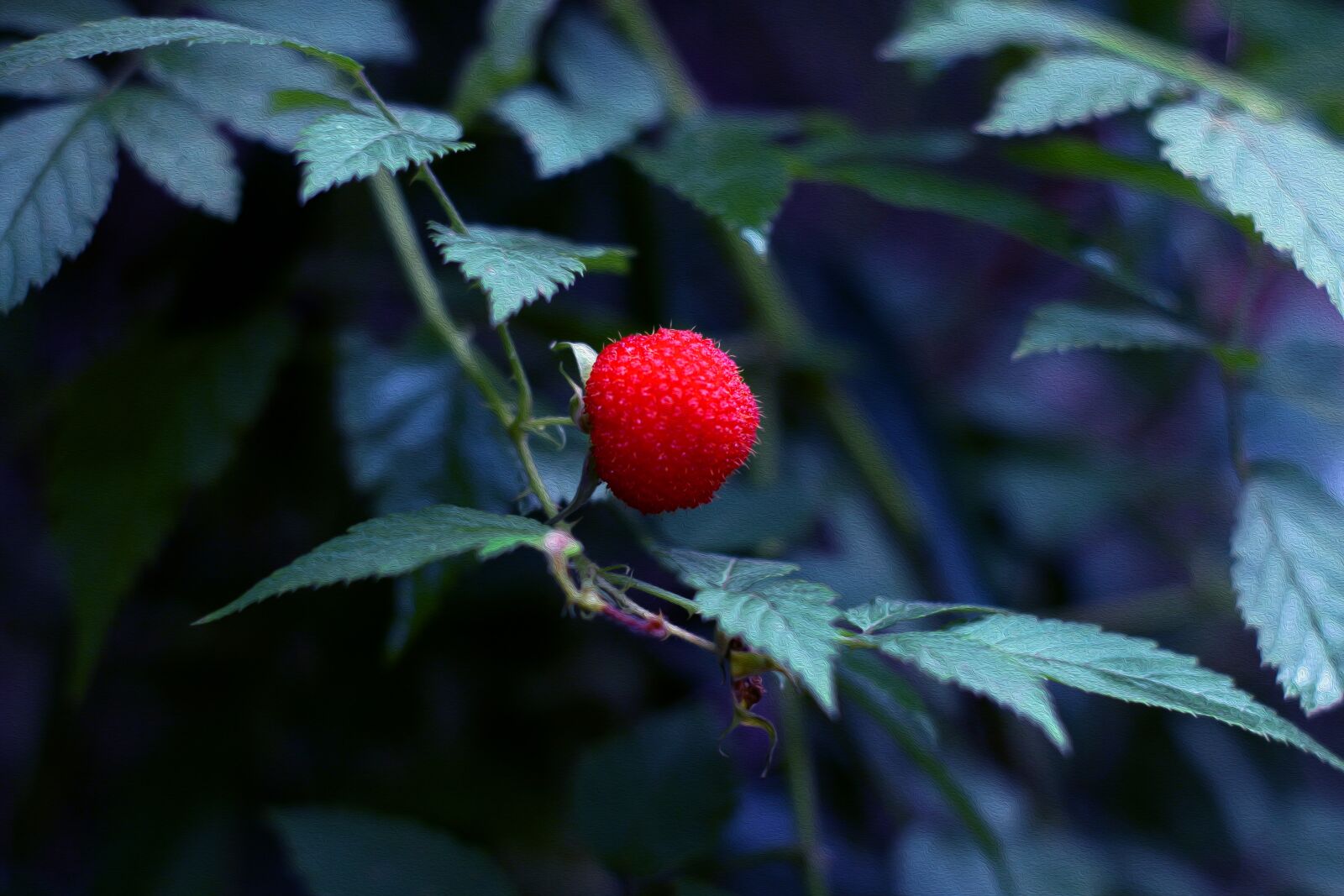Canon EOS 650D (EOS Rebel T4i / EOS Kiss X6i) sample photo. Nature, leaf, summer photography