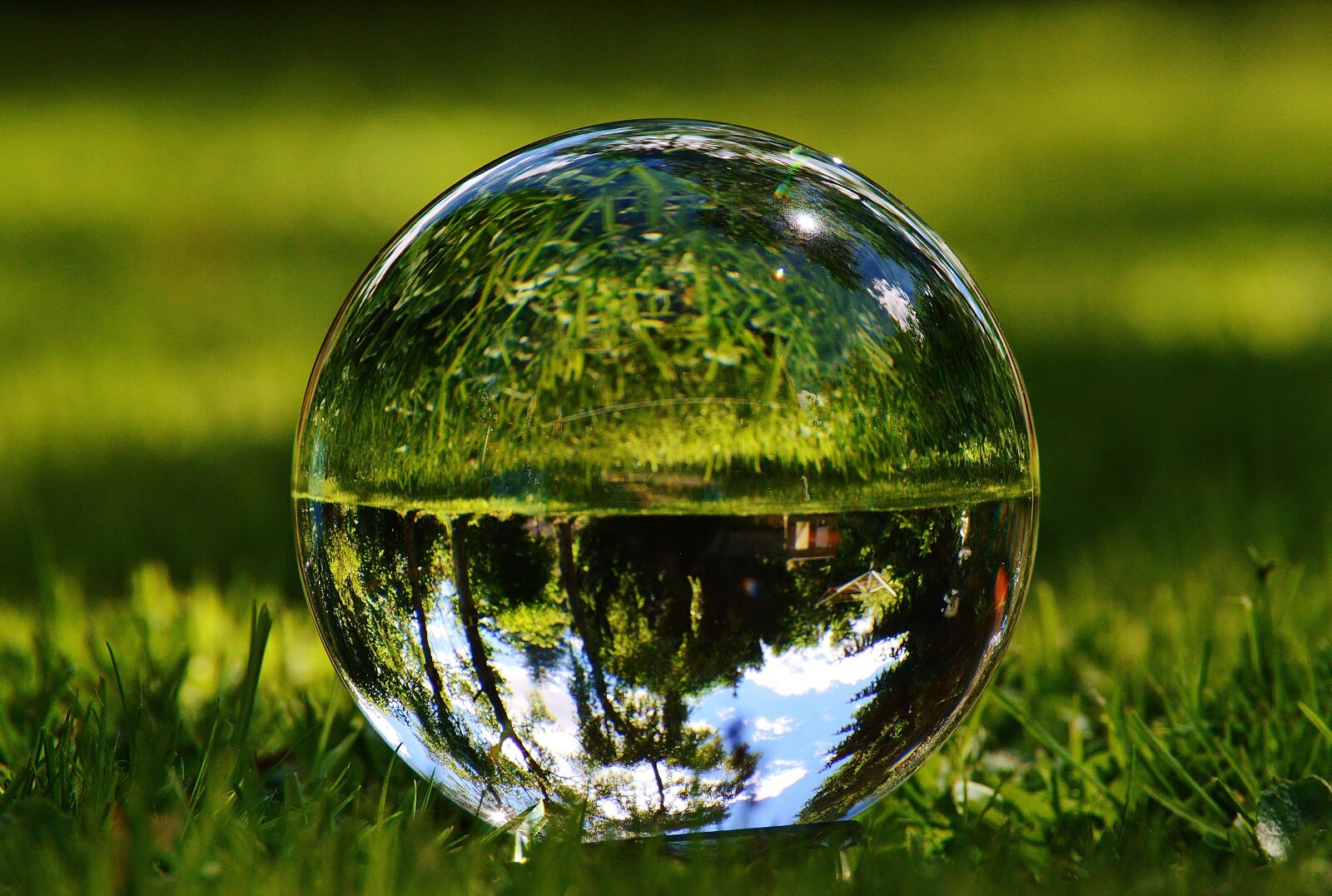 Nikon D3200 sample photo. Glass ball, mirroring, meadow photography