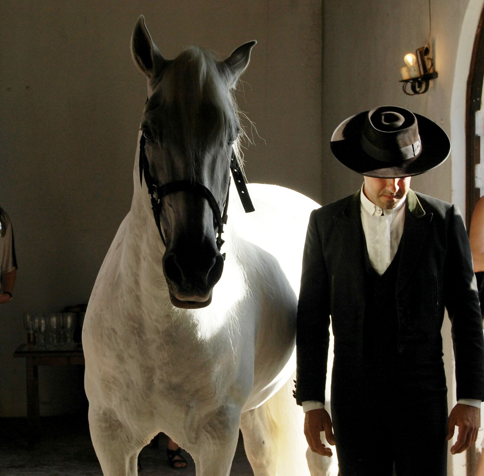 Nikon D40 sample photo. Portugal, horse, white horse photography