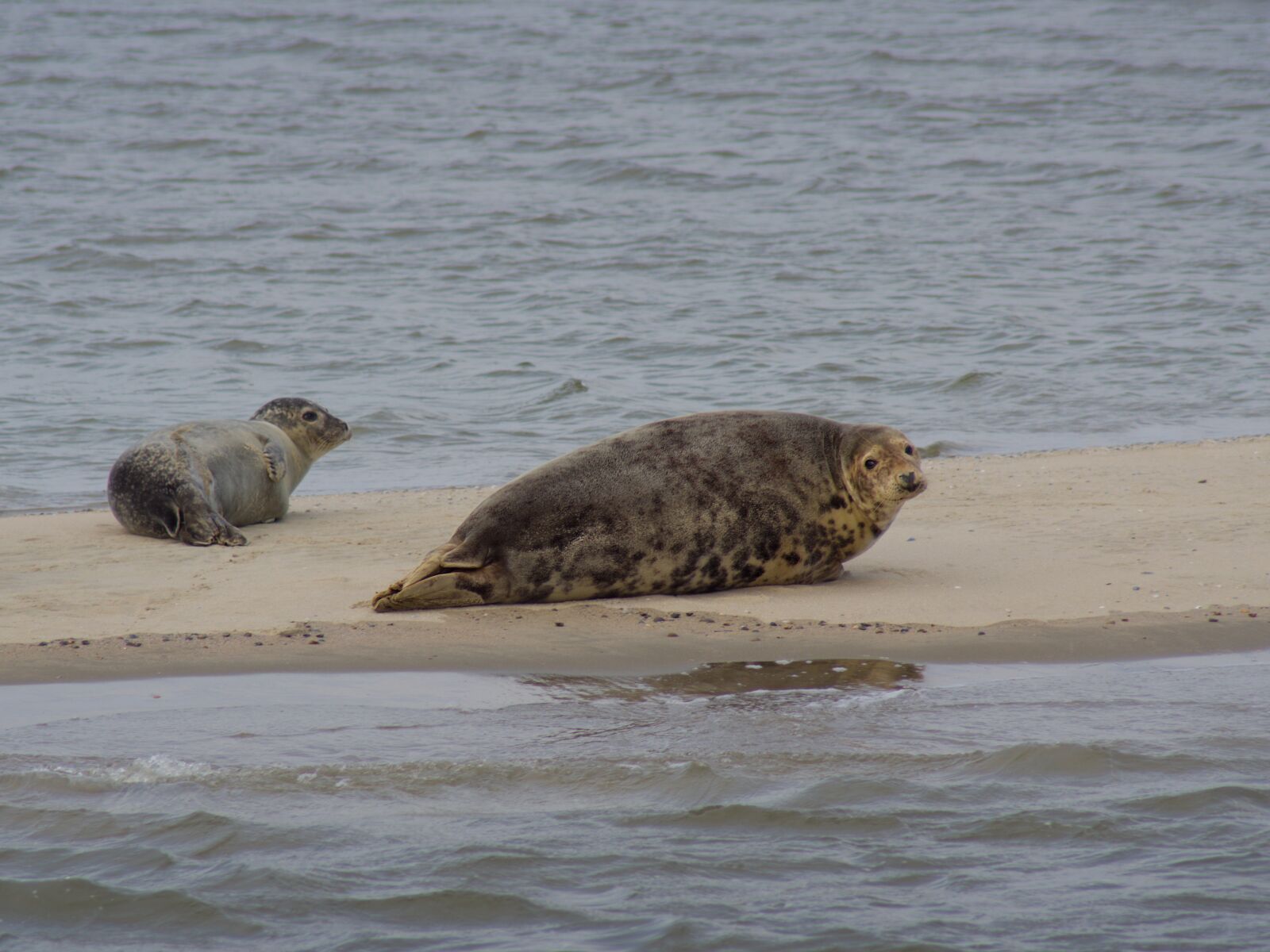 Pentax K-70 sample photo. North sea, sandbar, robbe photography