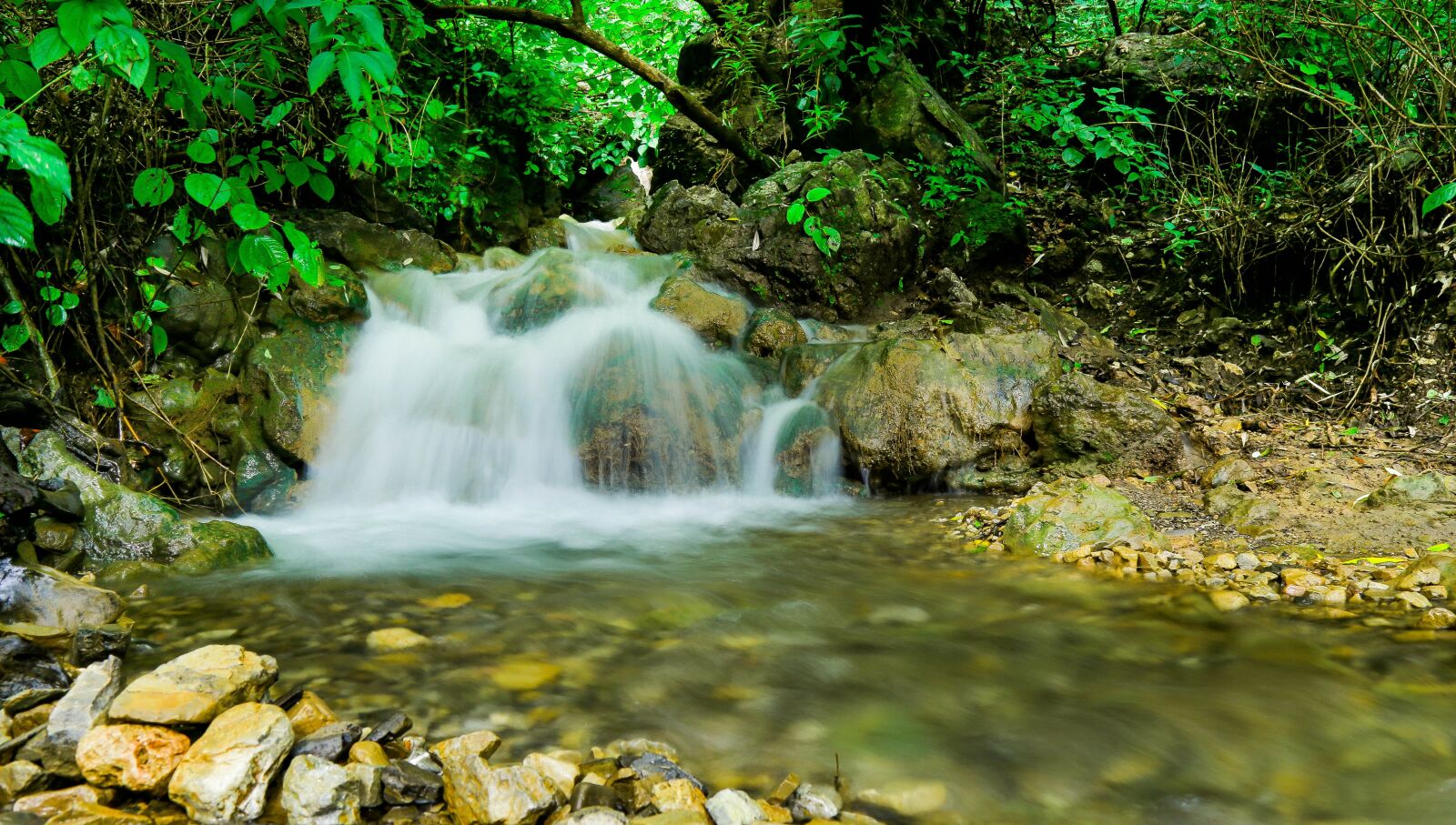 Canon EOS 6D + Canon EF 24-105mm F4L IS USM sample photo. Shutter stop, green, water photography