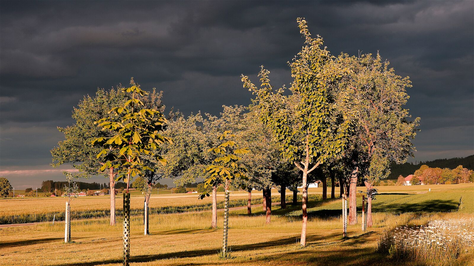 Canon RF 24-105mm F4L IS USM sample photo. Sunset, gewitterstimmung, clouds photography