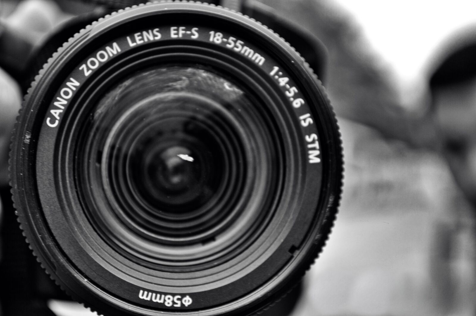 Nikon D5000 sample photo. Camera, nikon, lens photography