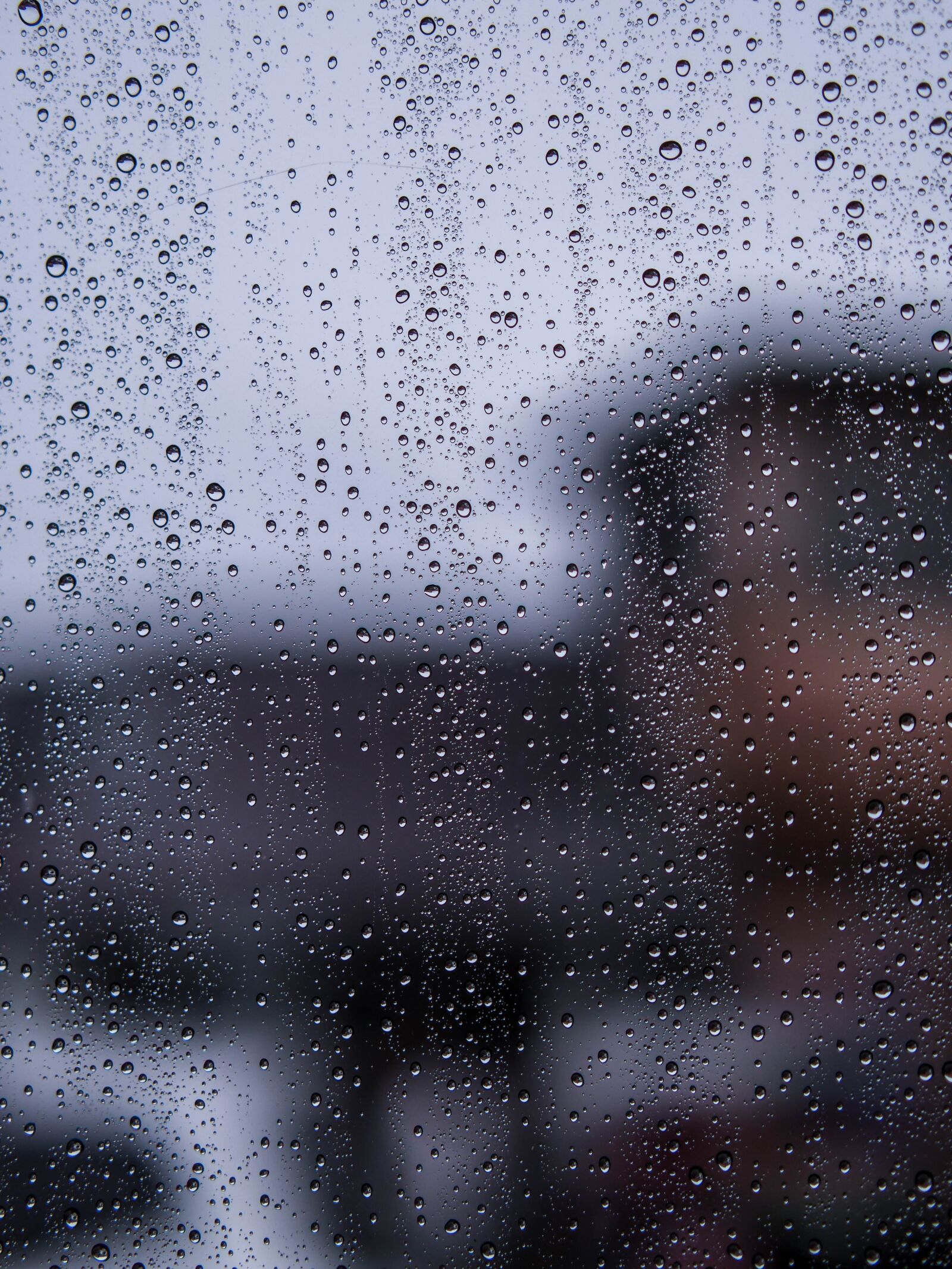 XIAOYI 42.5mm F1.8 sample photo. Rain, drizzle, galau photography