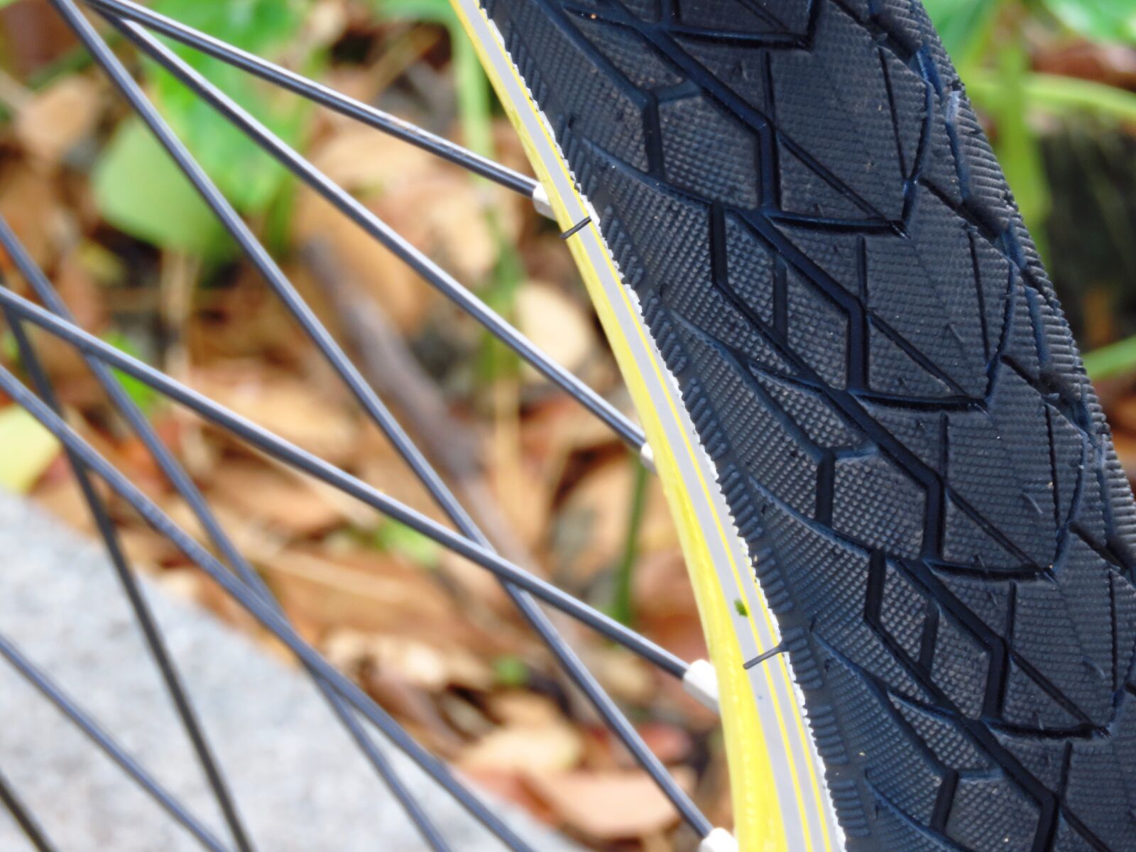 Canon PowerShot SX60 HS sample photo. Bicycle, tyre, macro photography