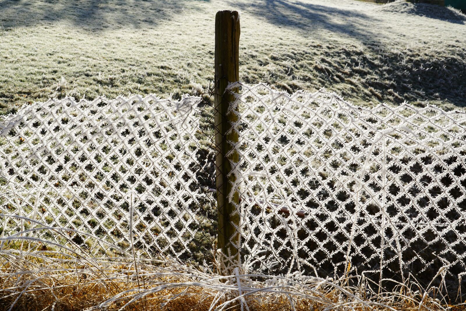 Sony a7R II + Sony FE 24-240mm F3.5-6.3 OSS sample photo. Diagonal wire mesh fence photography