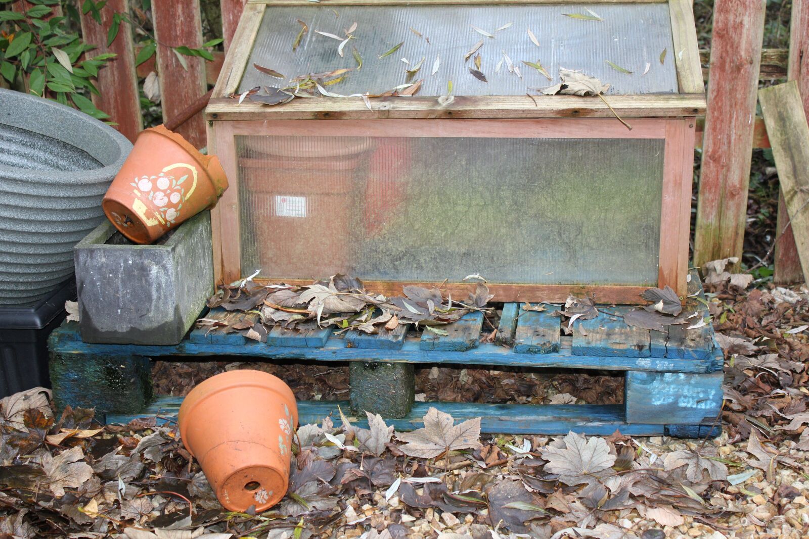 Canon EOS 550D (EOS Rebel T2i / EOS Kiss X4) sample photo. Gardening, leaves, autumn photography