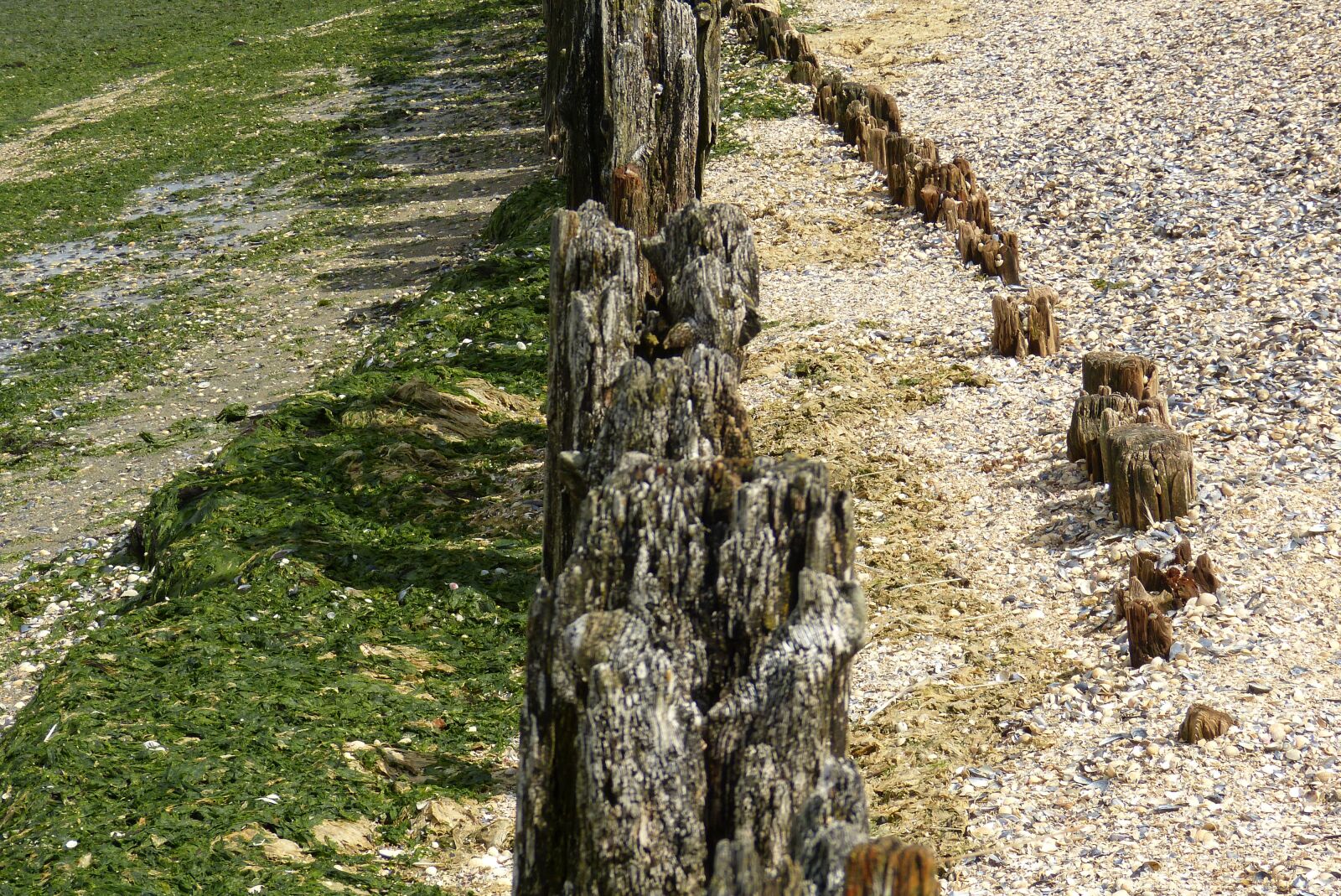Panasonic Lumix DMC-FZ150 sample photo. Sea, netherlands, north sea photography