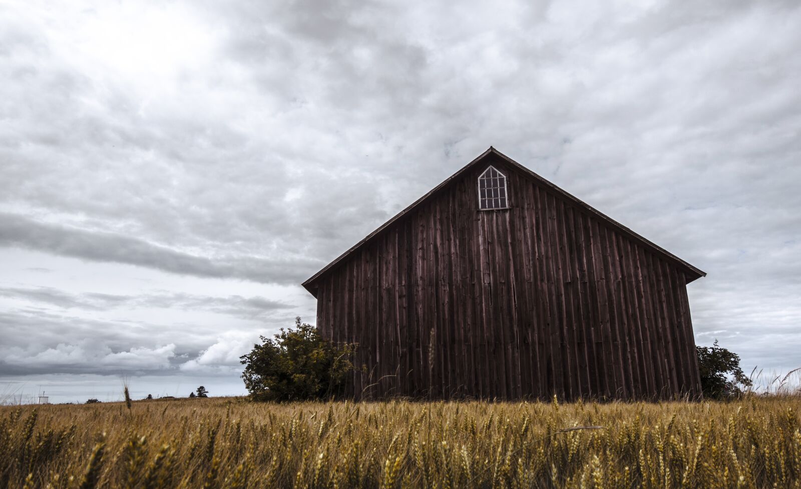 Nikon D7000 sample photo. Barn, oland, canola photography