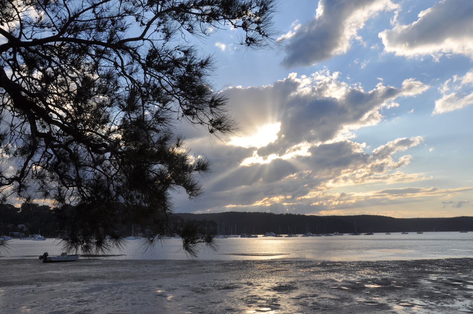 Nikon D90 sample photo. Pittwater, twilight, silver photography