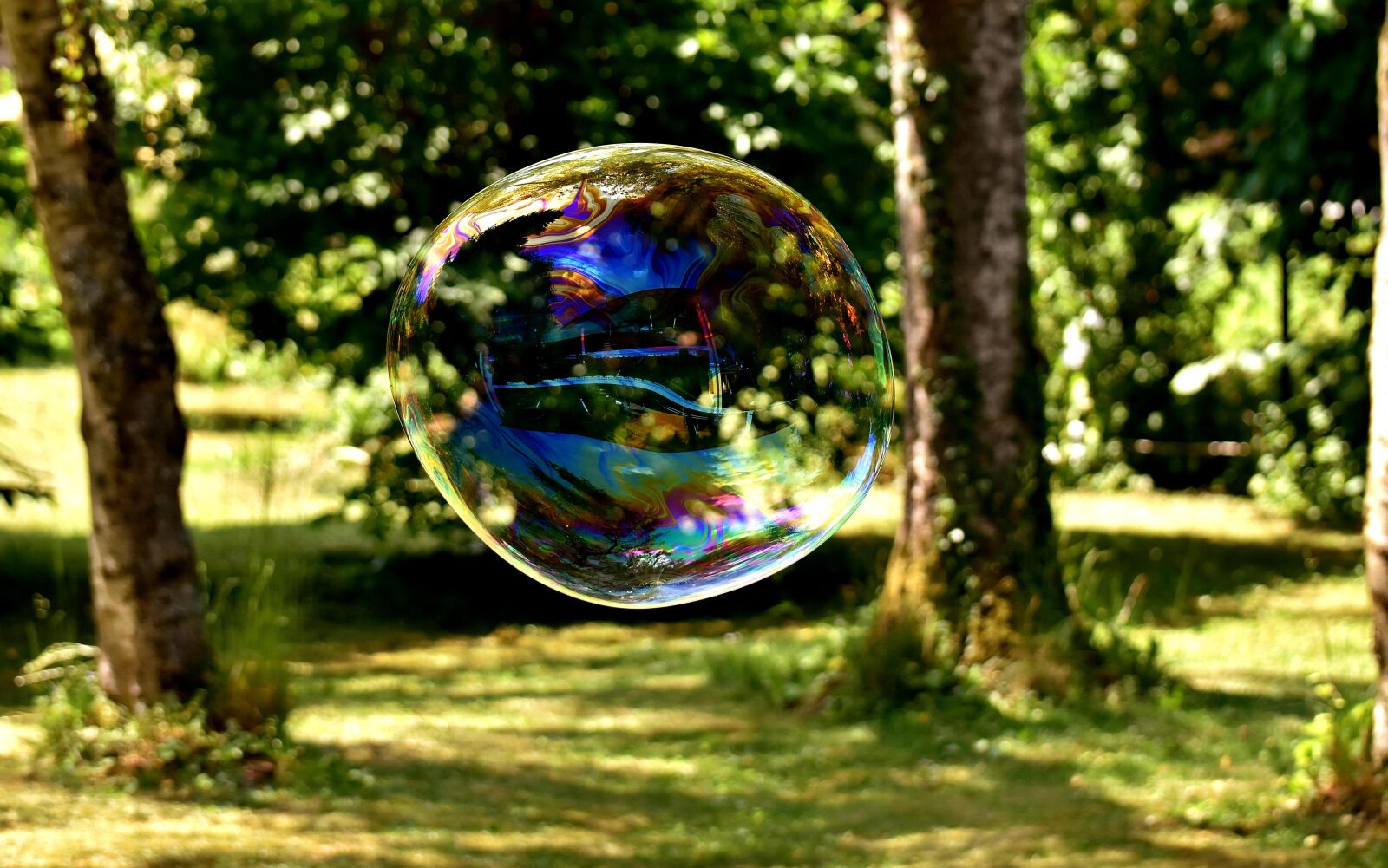 Nikon D7200 sample photo. Soap bubble, huge, large photography