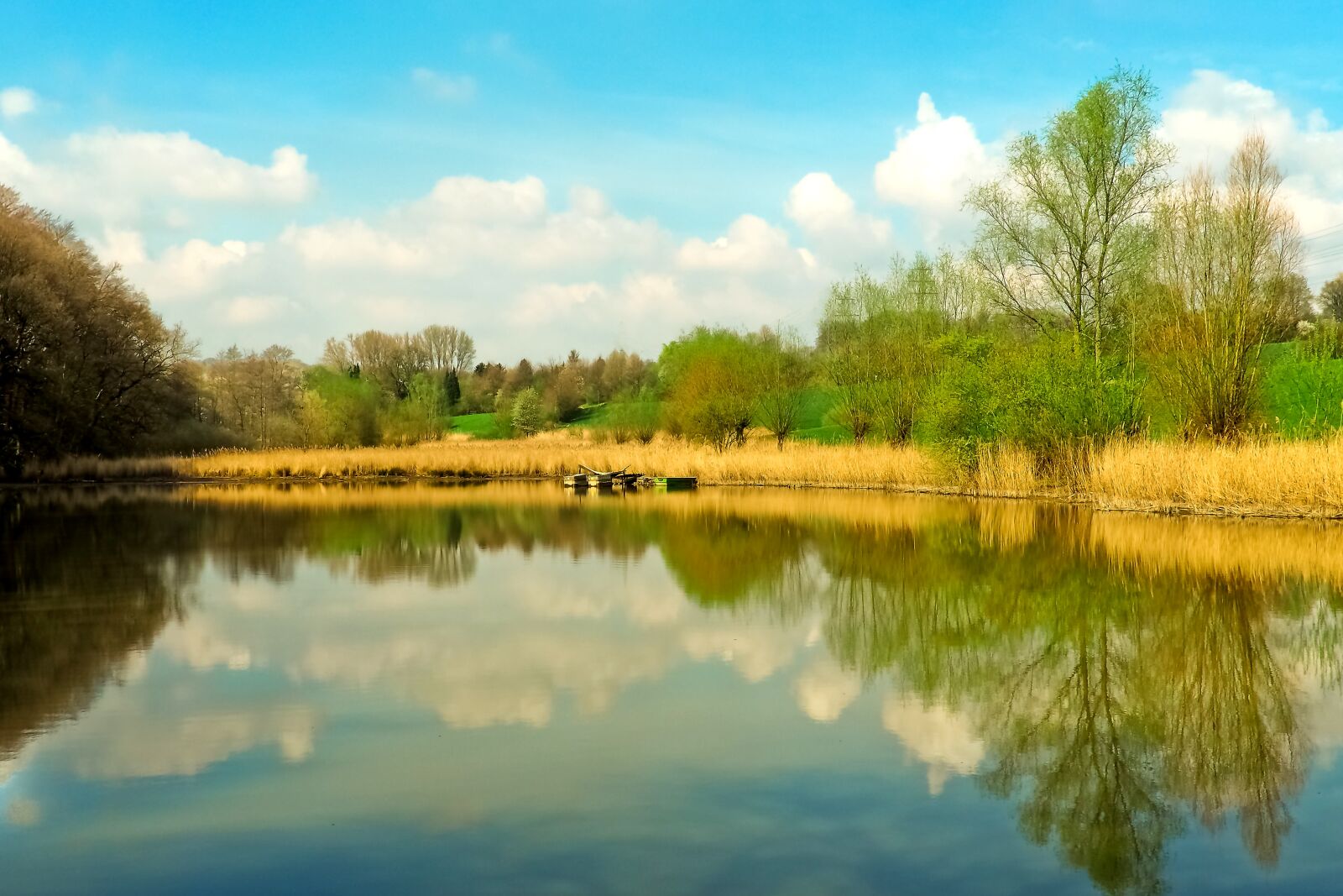 Olympus OM-D E-M10 sample photo. Landscape, meadowlands, trees photography