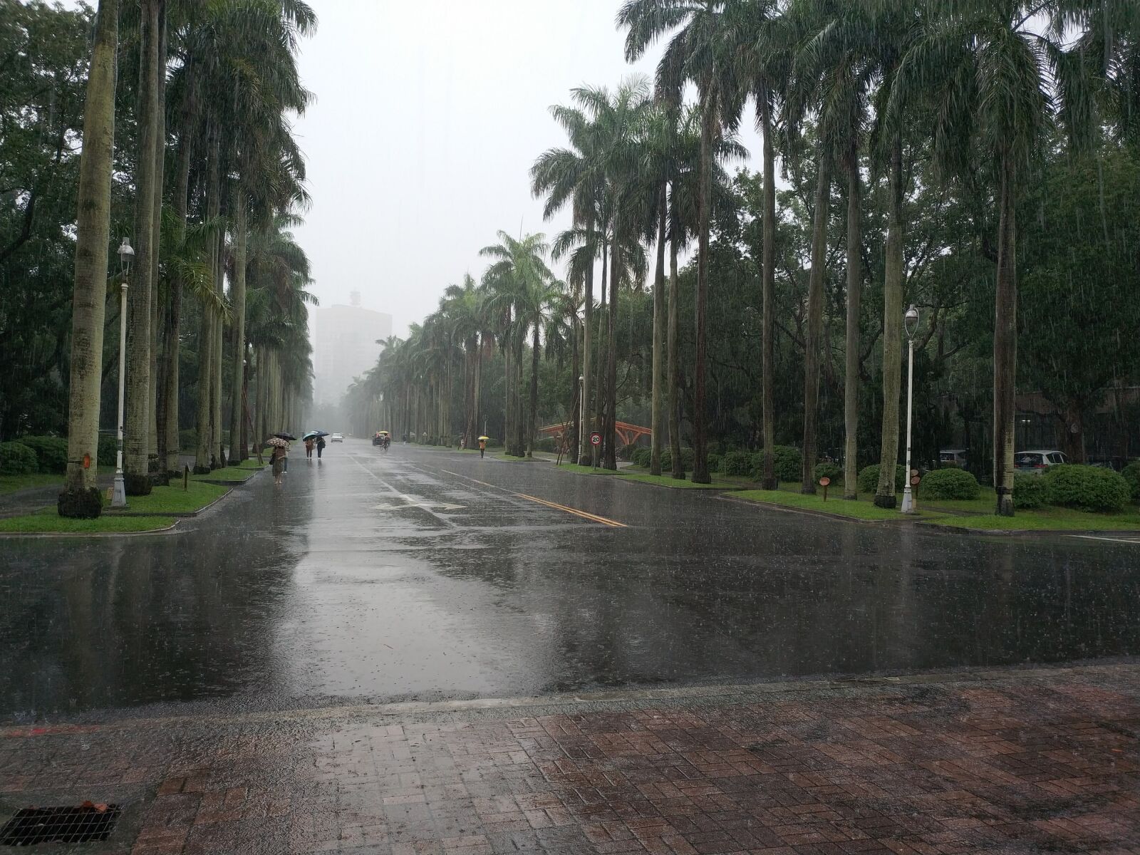 Xiaomi Mi MIX 2 sample photo. Rain, shower, season photography