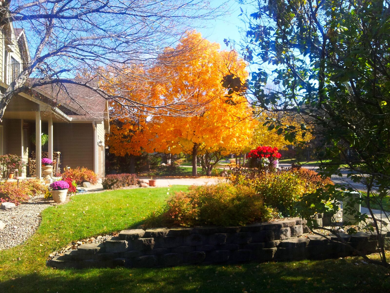 Samsung Galaxy S2 sample photo. Autumn, colours, autumn, leaves photography