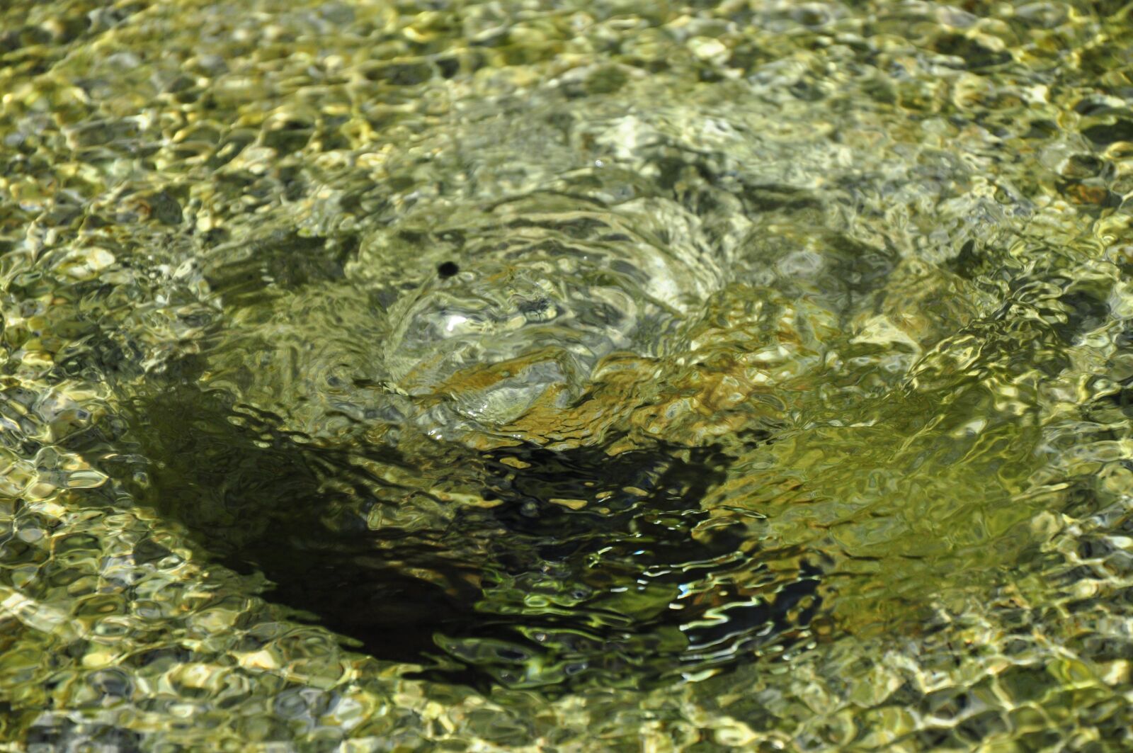 Nikon D90 sample photo. Fountain, water, water surface photography