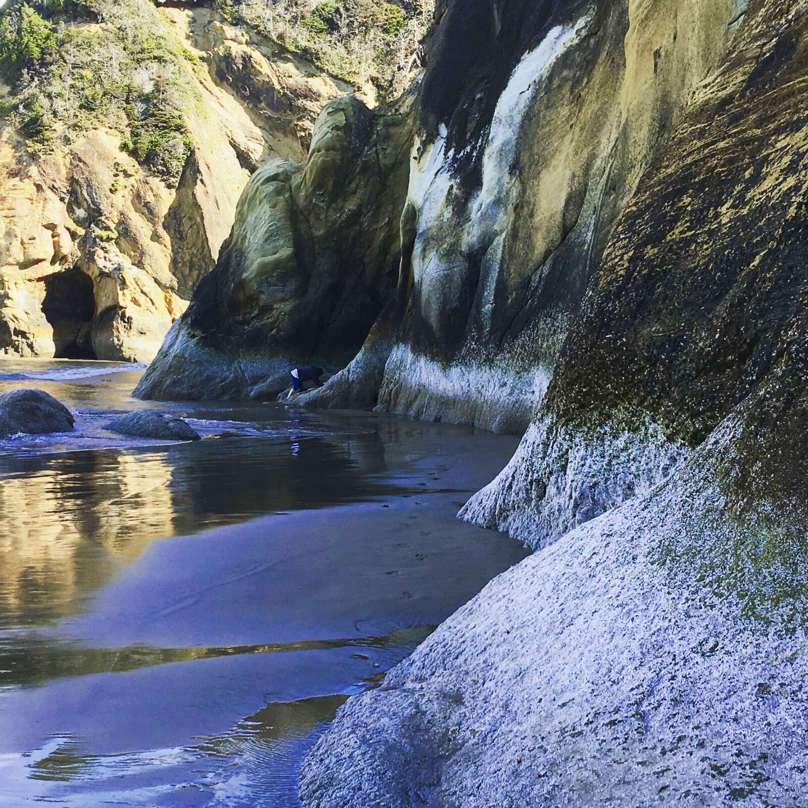 Apple iPhone 6s Plus sample photo. Waterfall, oregon coast, travel photography
