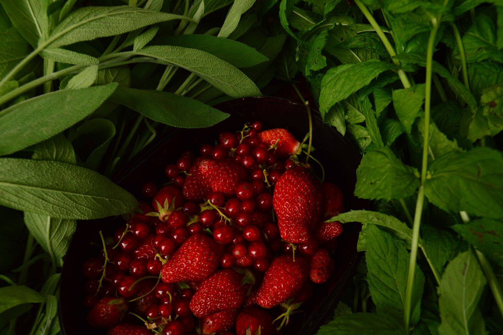 Nikon D3200 sample photo. Red, fruit, red strawberry photography
