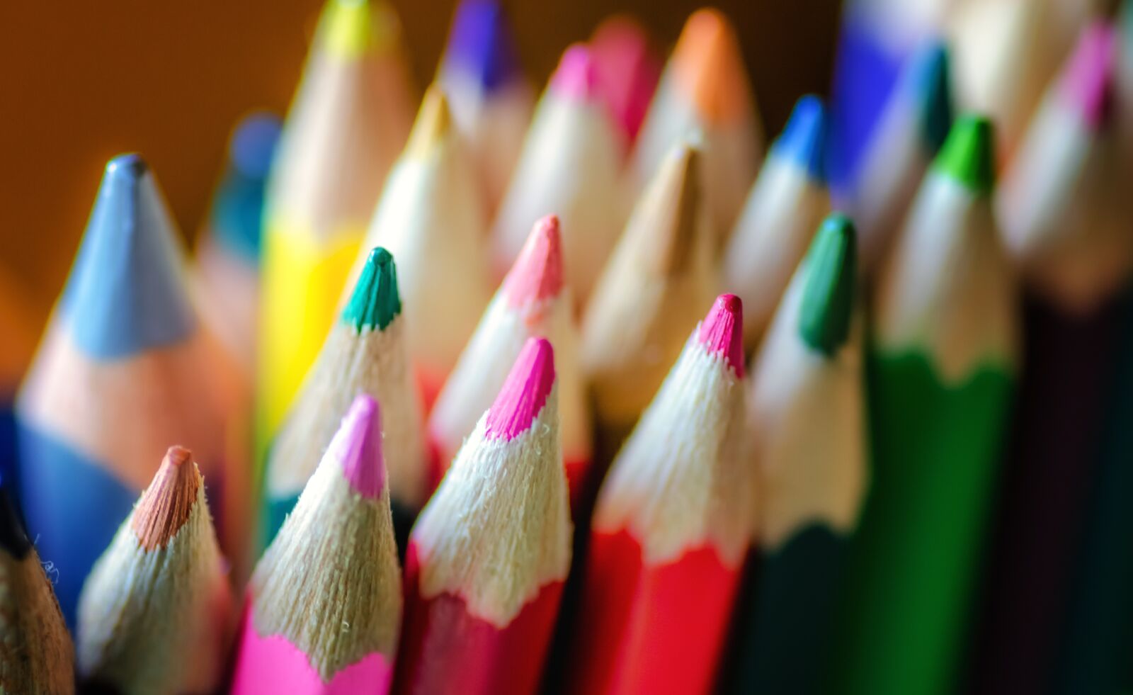 Nikon D7000 sample photo. Pencils, coloring, colorful photography