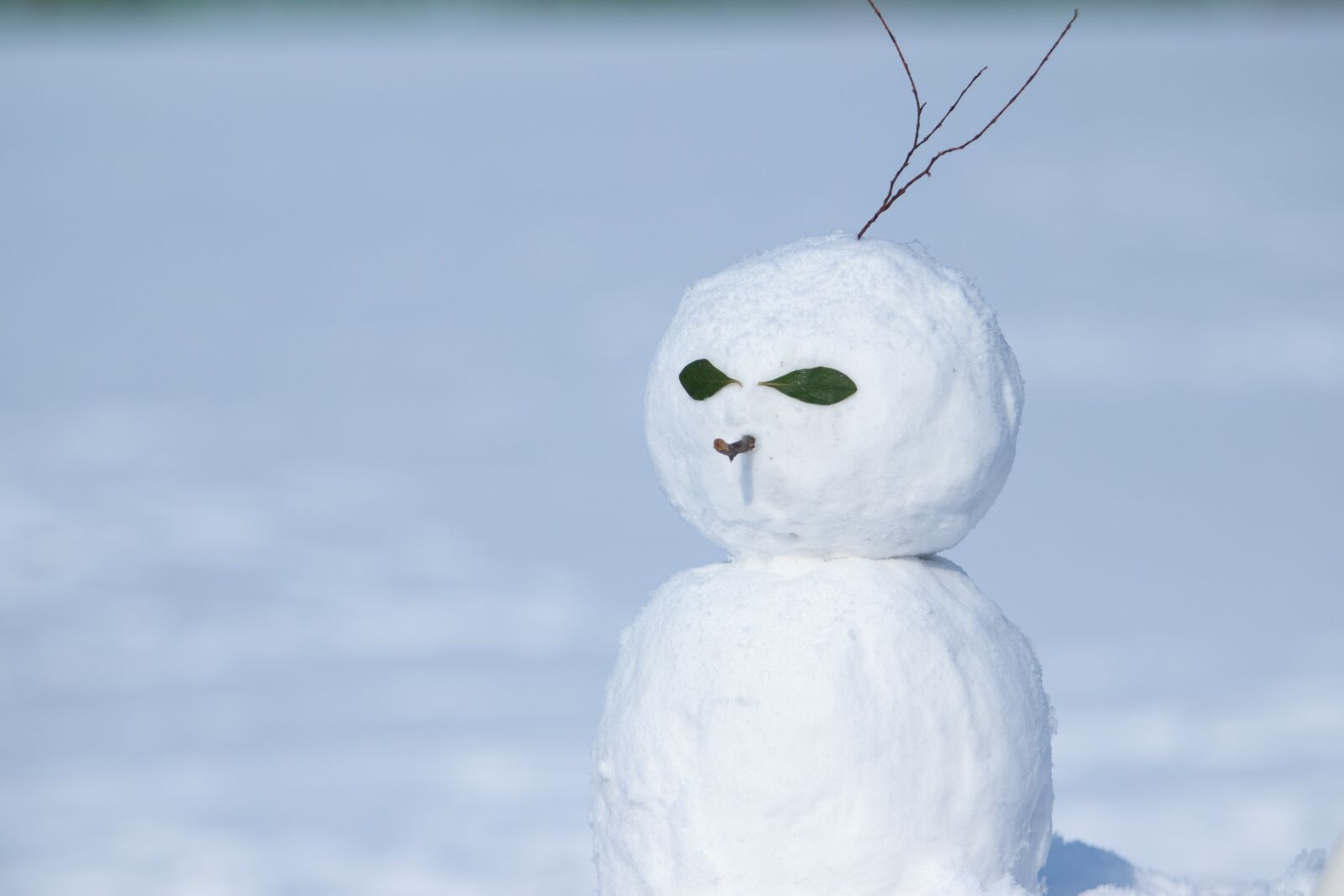 Canon EF 70-200mm F2.8L USM sample photo. Snow, snowman, winter photography