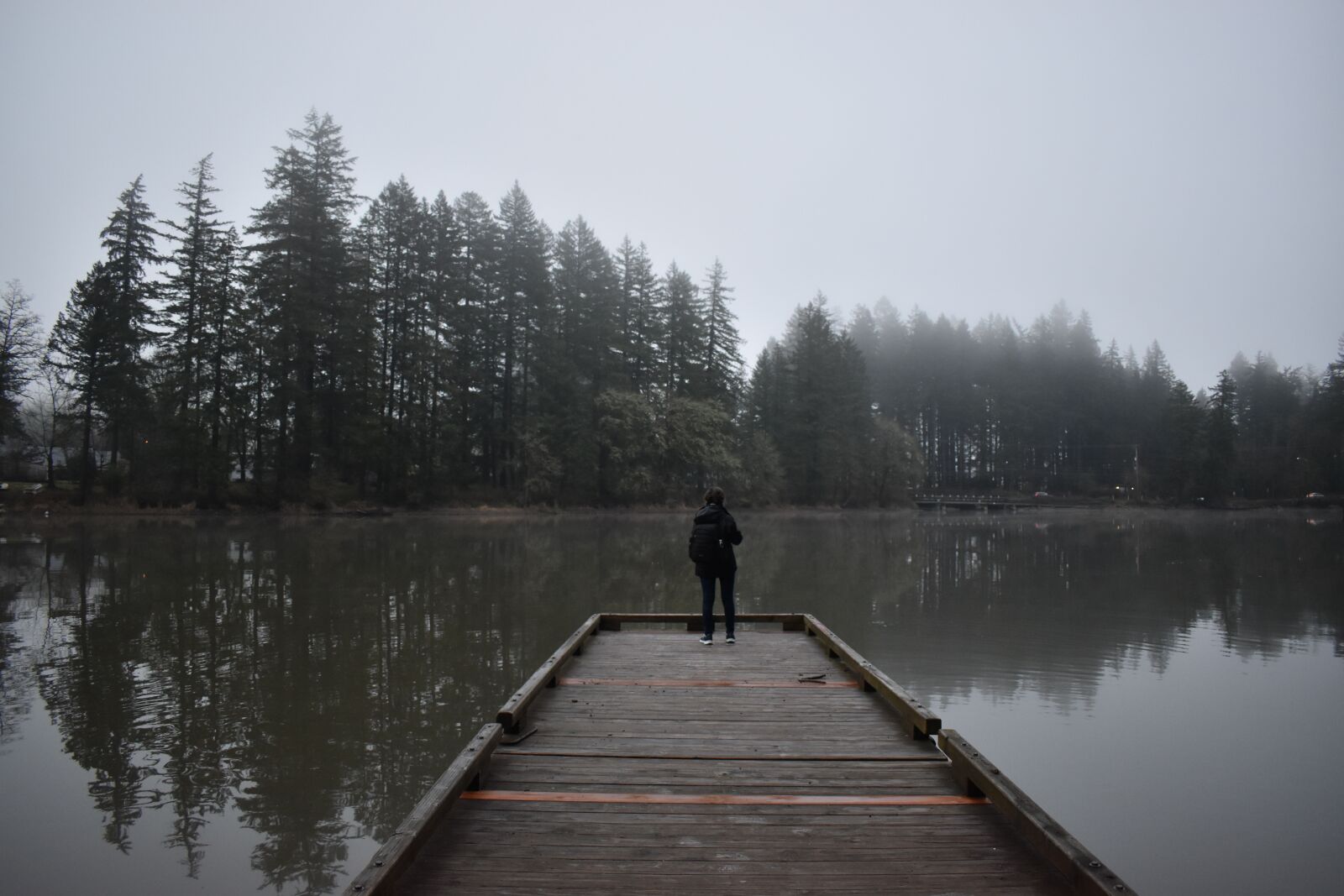 Nikon D3500 sample photo. Person, fog, trees photography