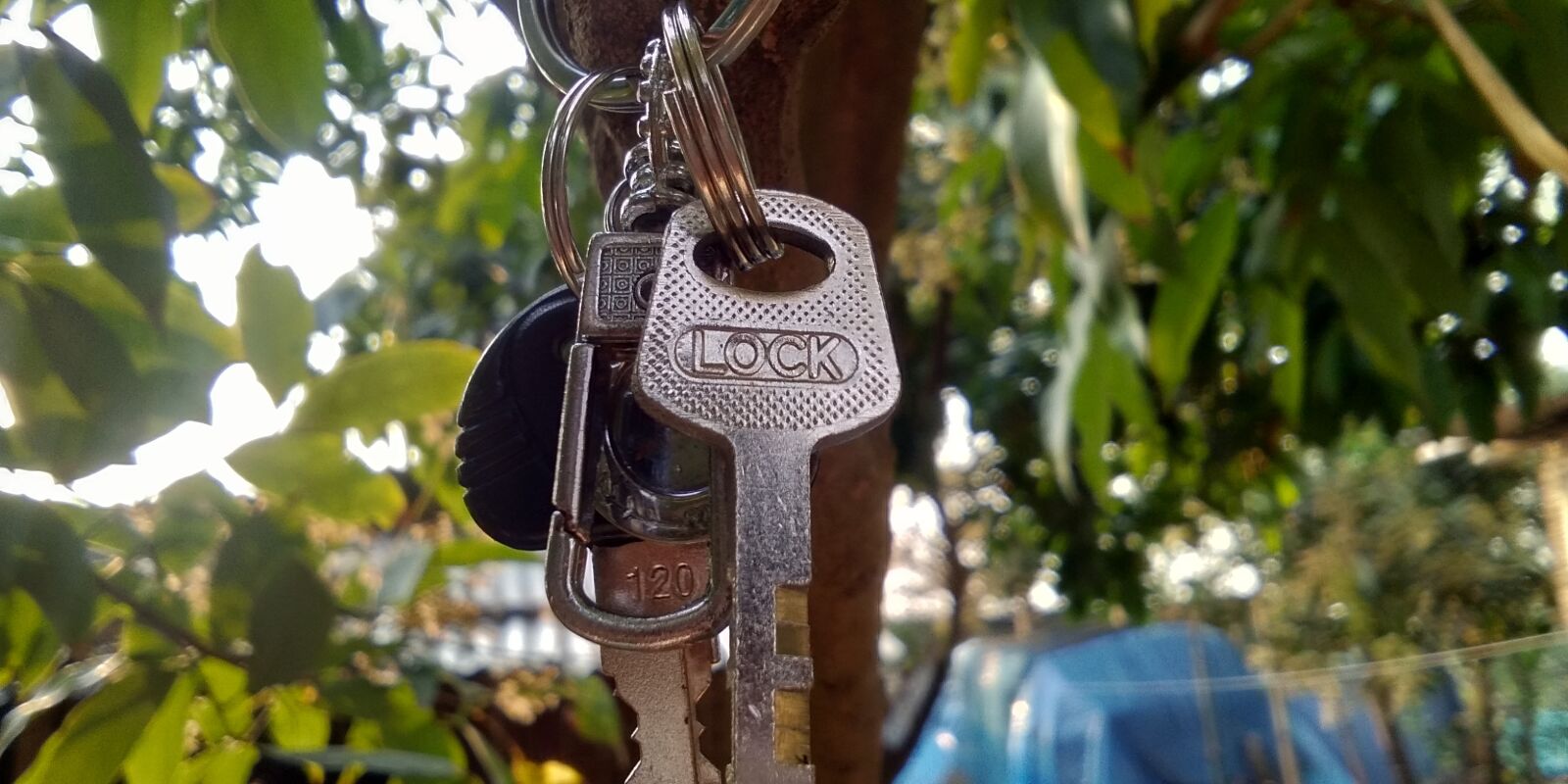 vivo 1801 sample photo. Stay, home, cause photography