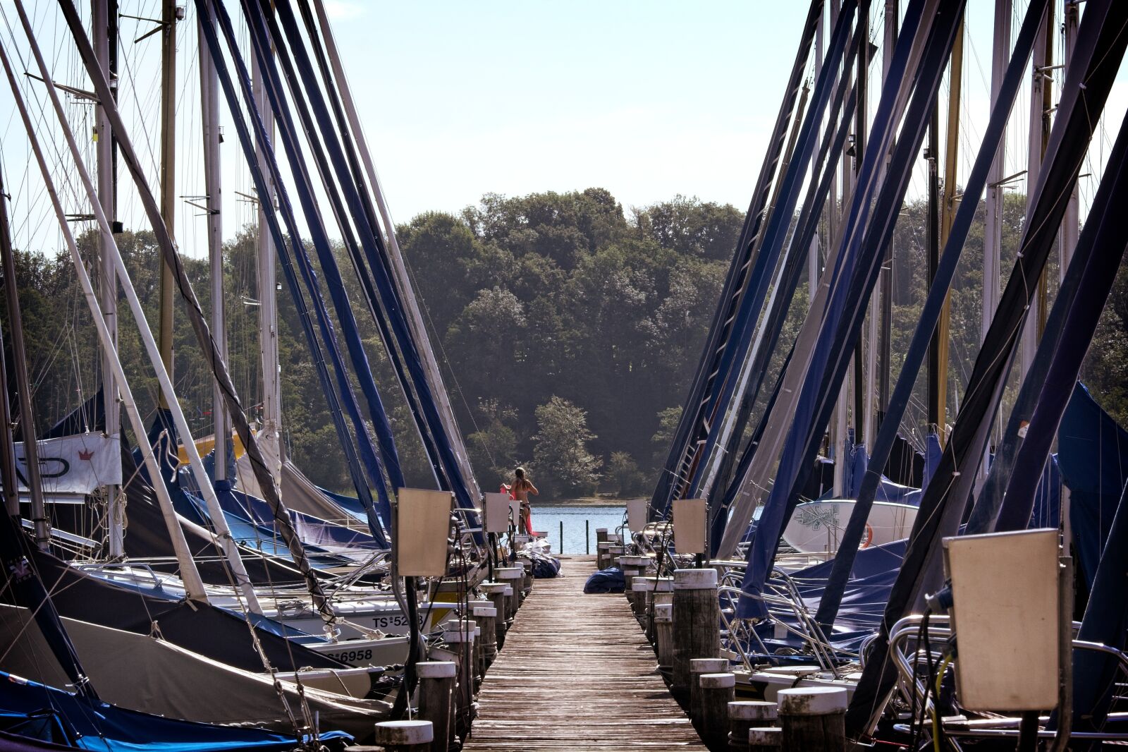 Nikon D7100 sample photo. Web, jetty, boardwalk photography