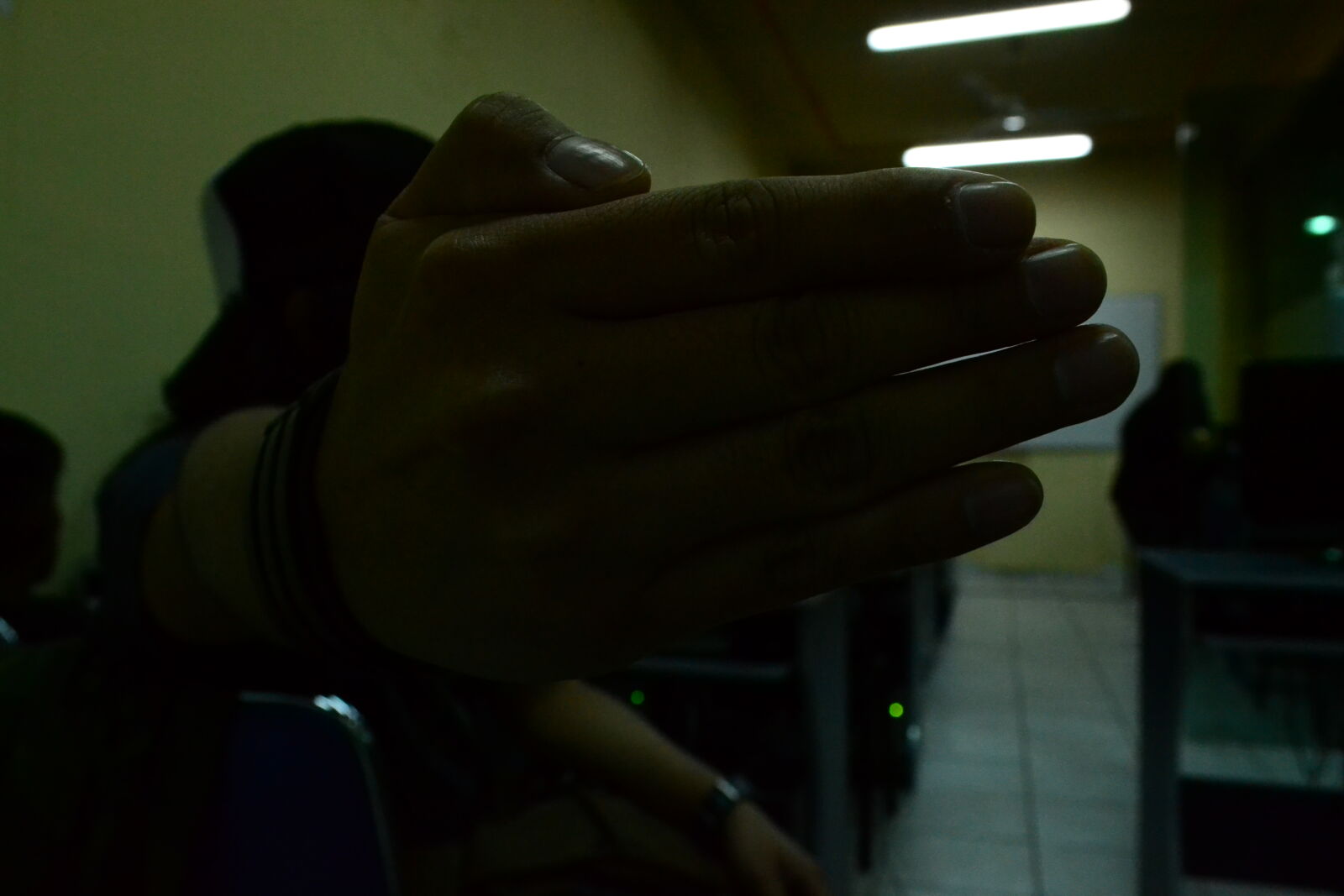 Nikon D3100 sample photo. Macro, photo photography