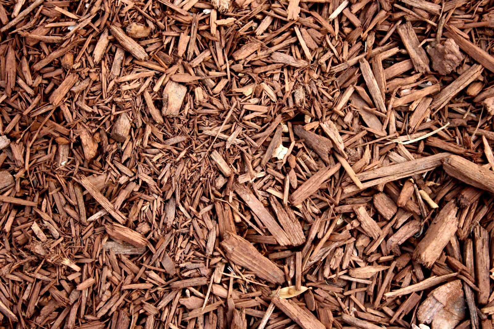 f/3.5-5.6 IS sample photo. Brown, wood, chipboard, mulch photography