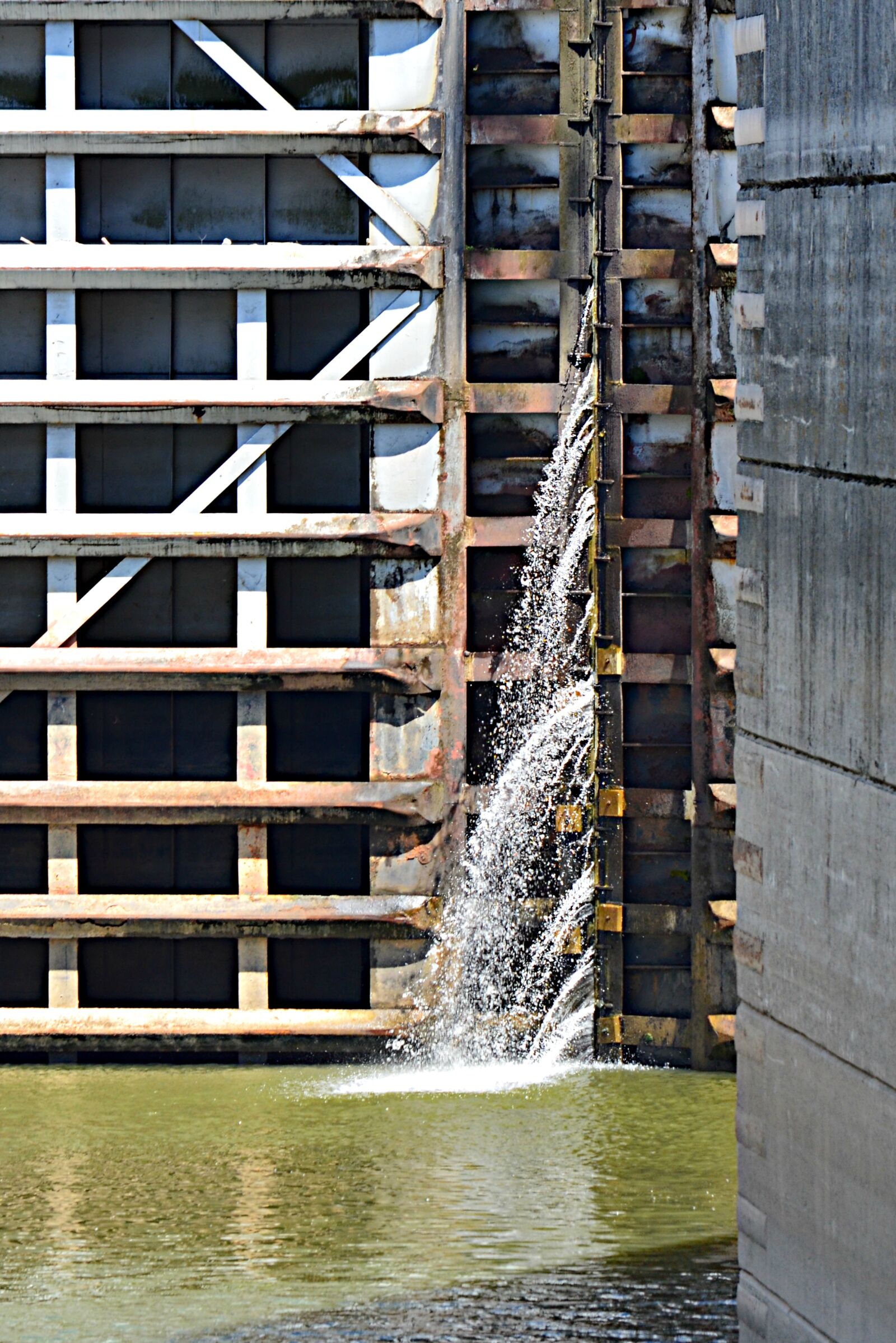 Nikon D5100 sample photo. Old hickory lock and photography