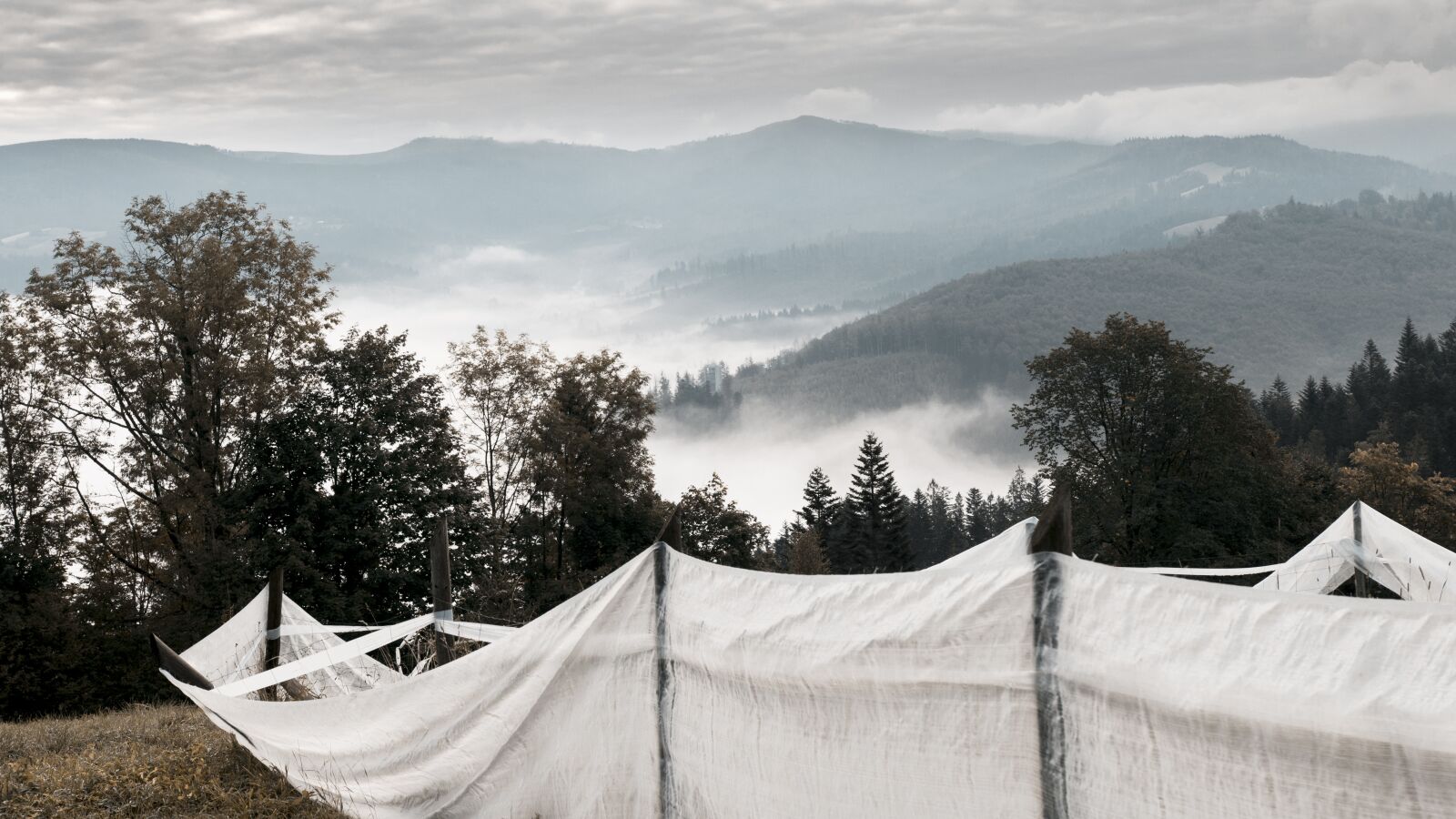Canon 18-35mm F1.8 DC HSM | Art 013 sample photo. Landscape, mountains, forest photography
