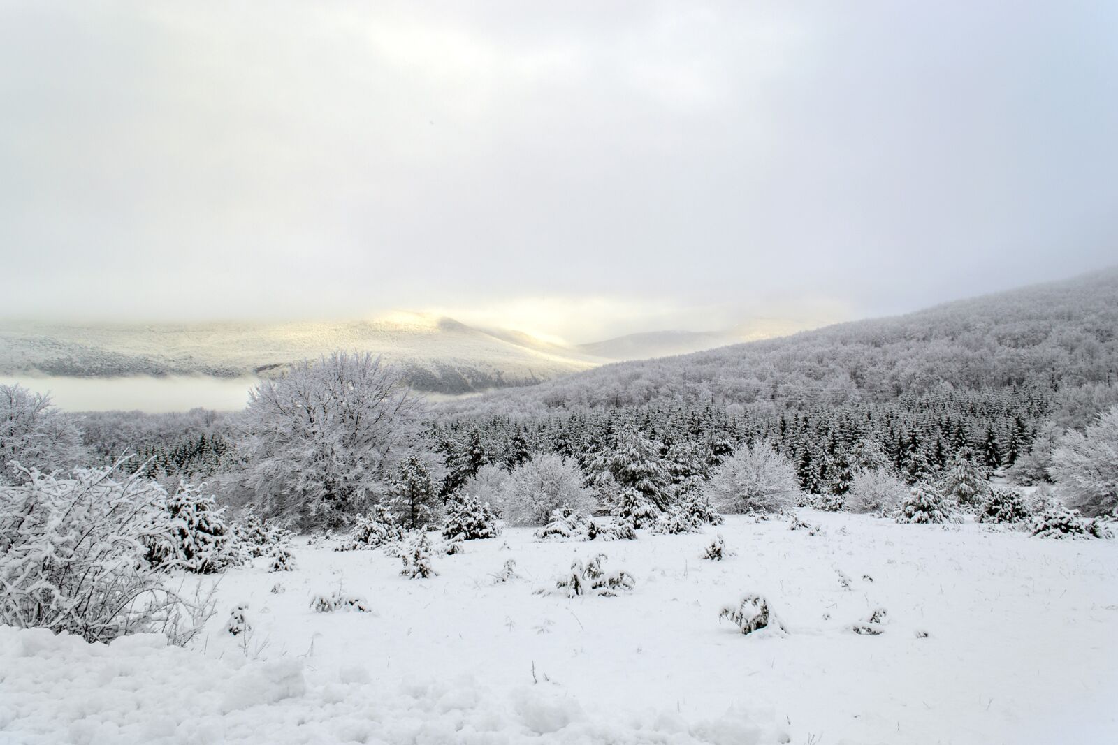 Nikon D3100 sample photo. Croatia, lika, snow photography