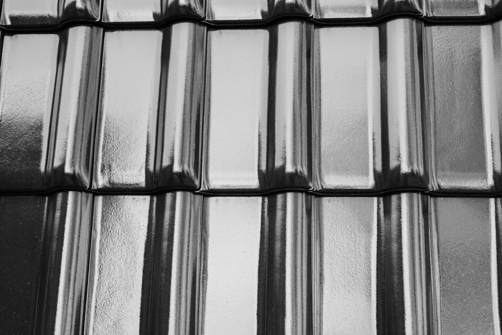 Nikon D810 sample photo. Black and white, black photography