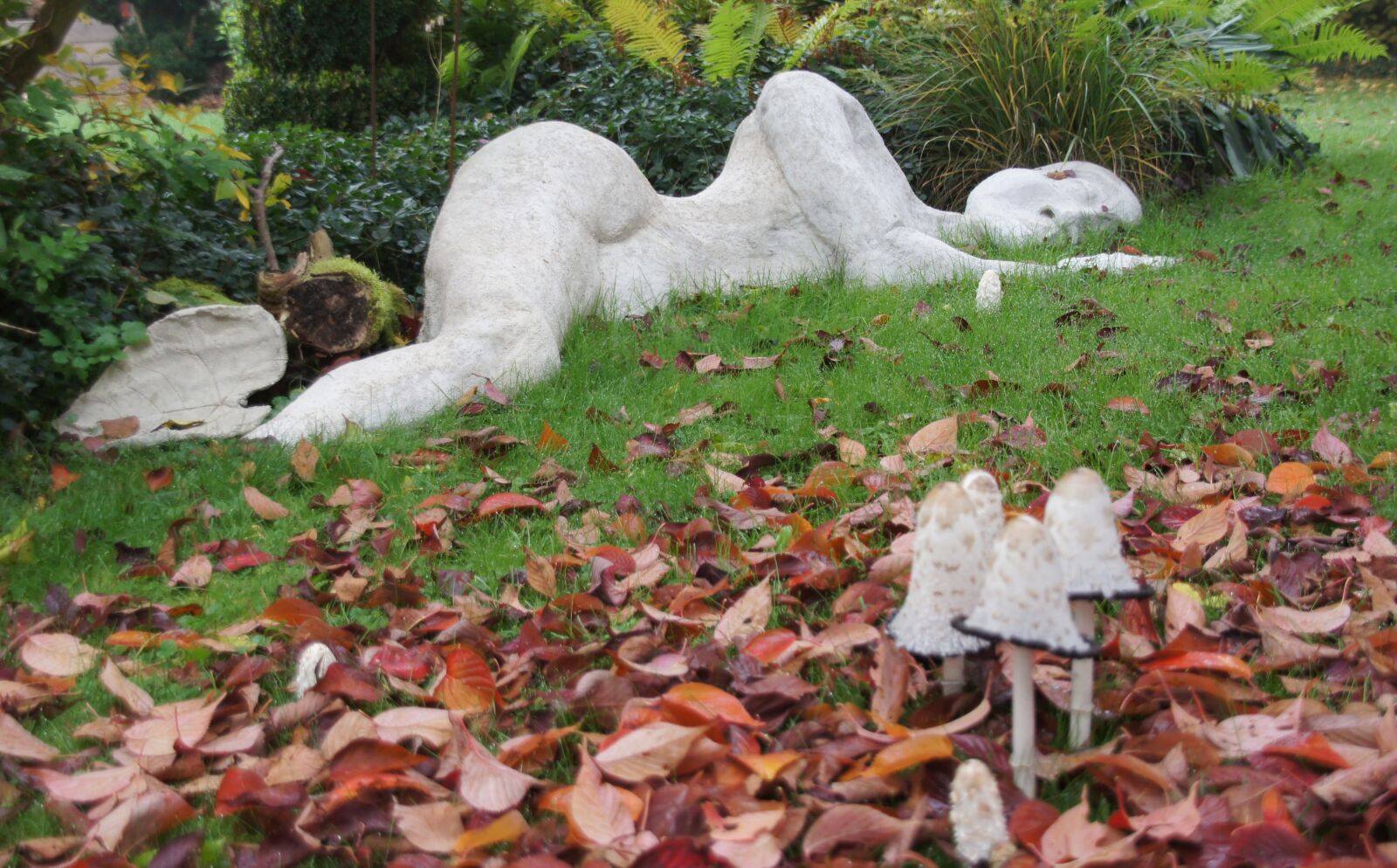 Sony SLT-A33 sample photo. Autumn, figure, sleeping photography