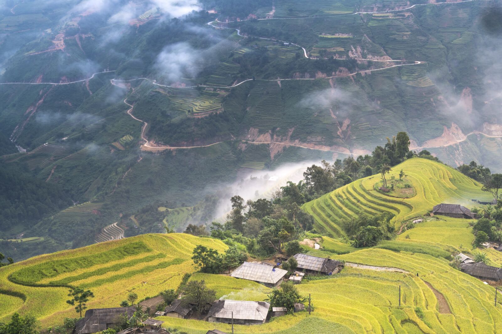 Sony a7R II + Sony FE 24-70mm F2.8 GM sample photo. Vietnam, rice, rice field photography