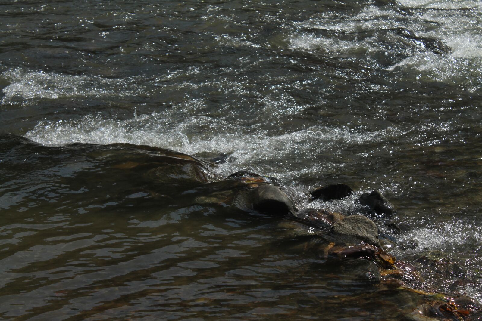 Canon EOS 1100D (EOS Rebel T3 / EOS Kiss X50) sample photo. Water, river, nature photography