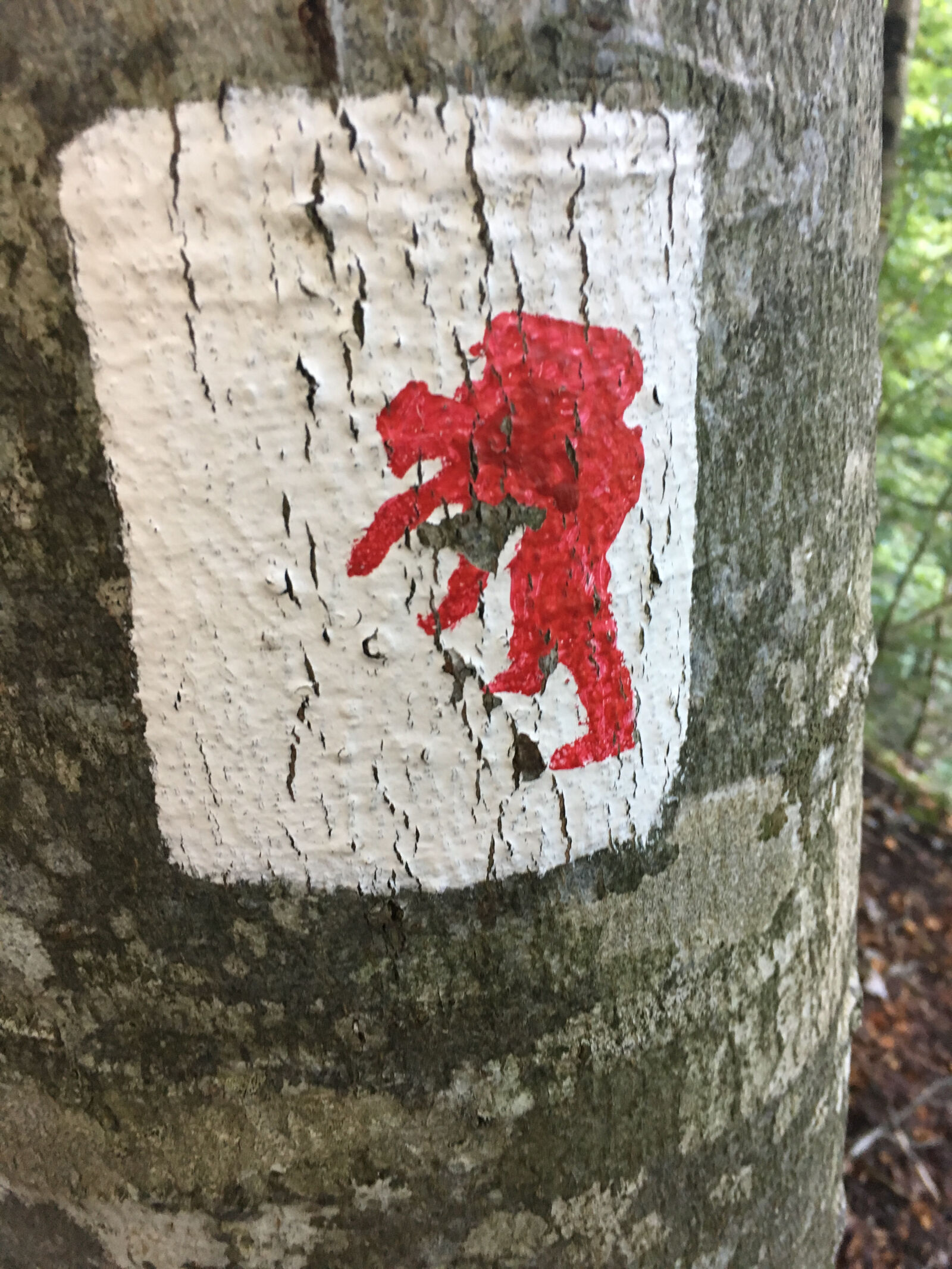 Apple iPhone 6s sample photo. France, red, man, sign photography
