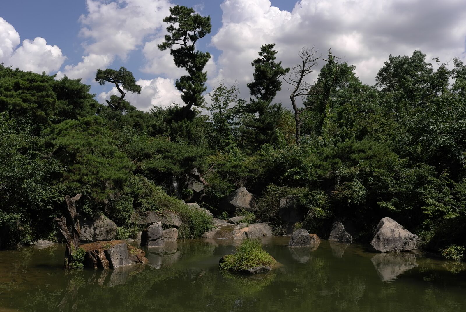 Leica X1 sample photo. Nature, landscape, scenery photography
