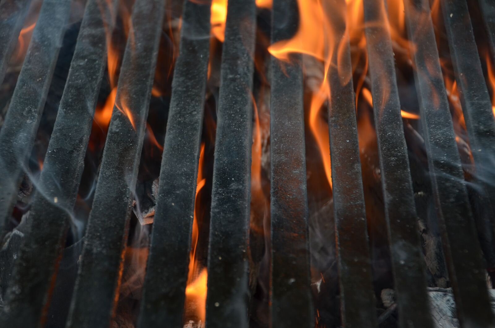 Nikon D5100 sample photo. Fire, bars, barbeque photography