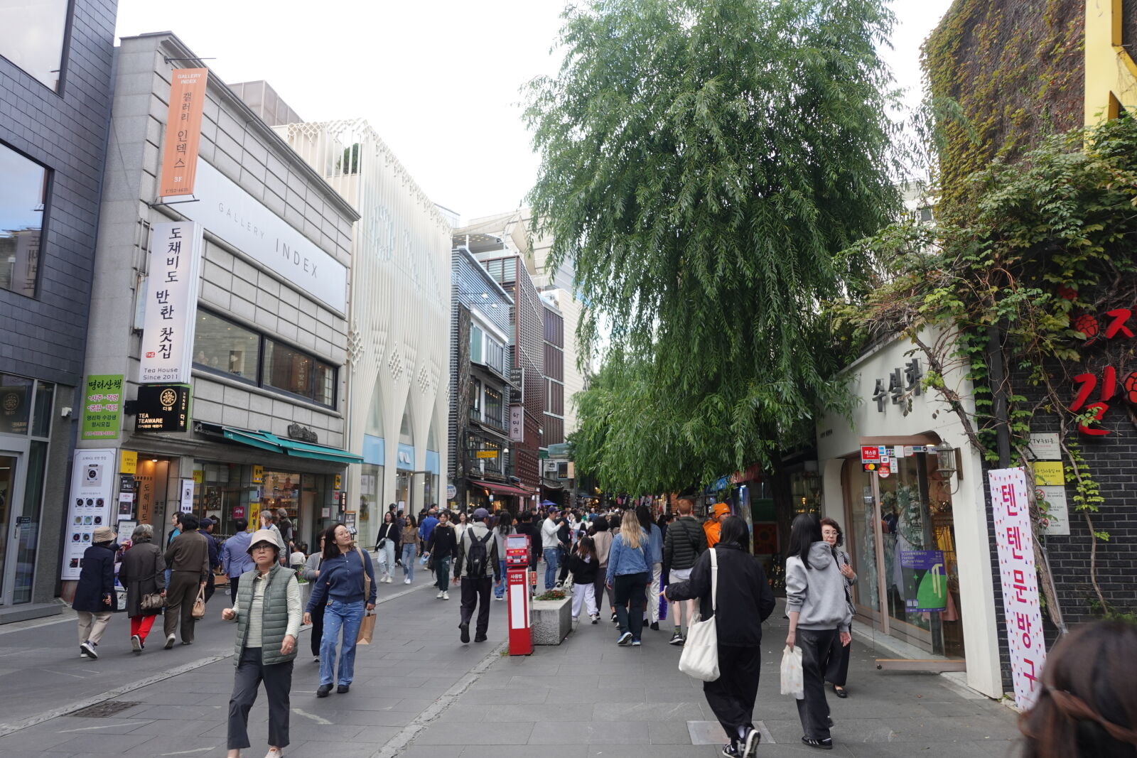 Sony ZV-1 sample photo
