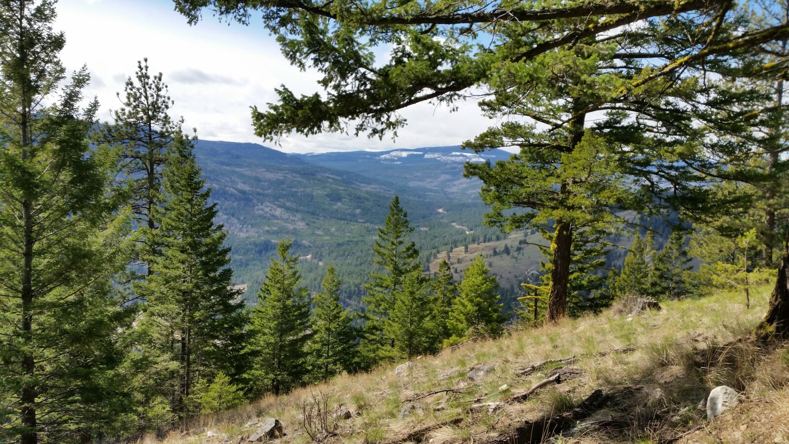Samsung Galaxy S5 sample photo. Mountain, forest, nature photography