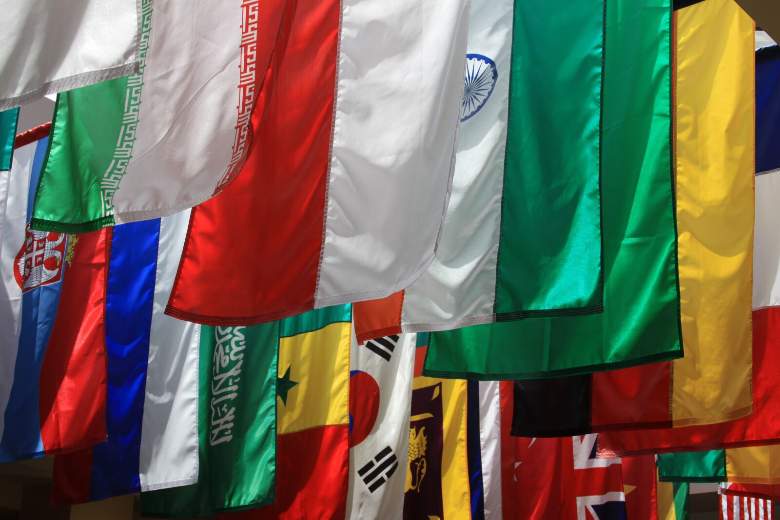 Canon EOS 50D sample photo. Flags, world, india photography
