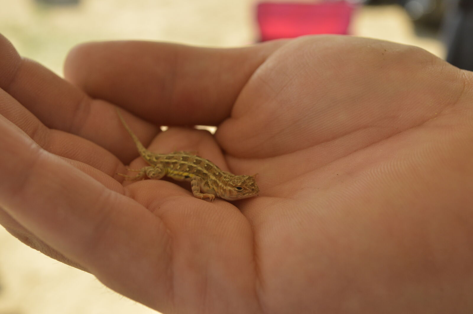 Nikon D3200 sample photo