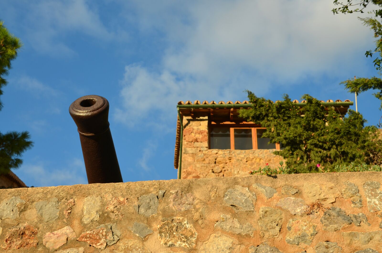 Nikon D5100 sample photo. Gun, sky, historically photography